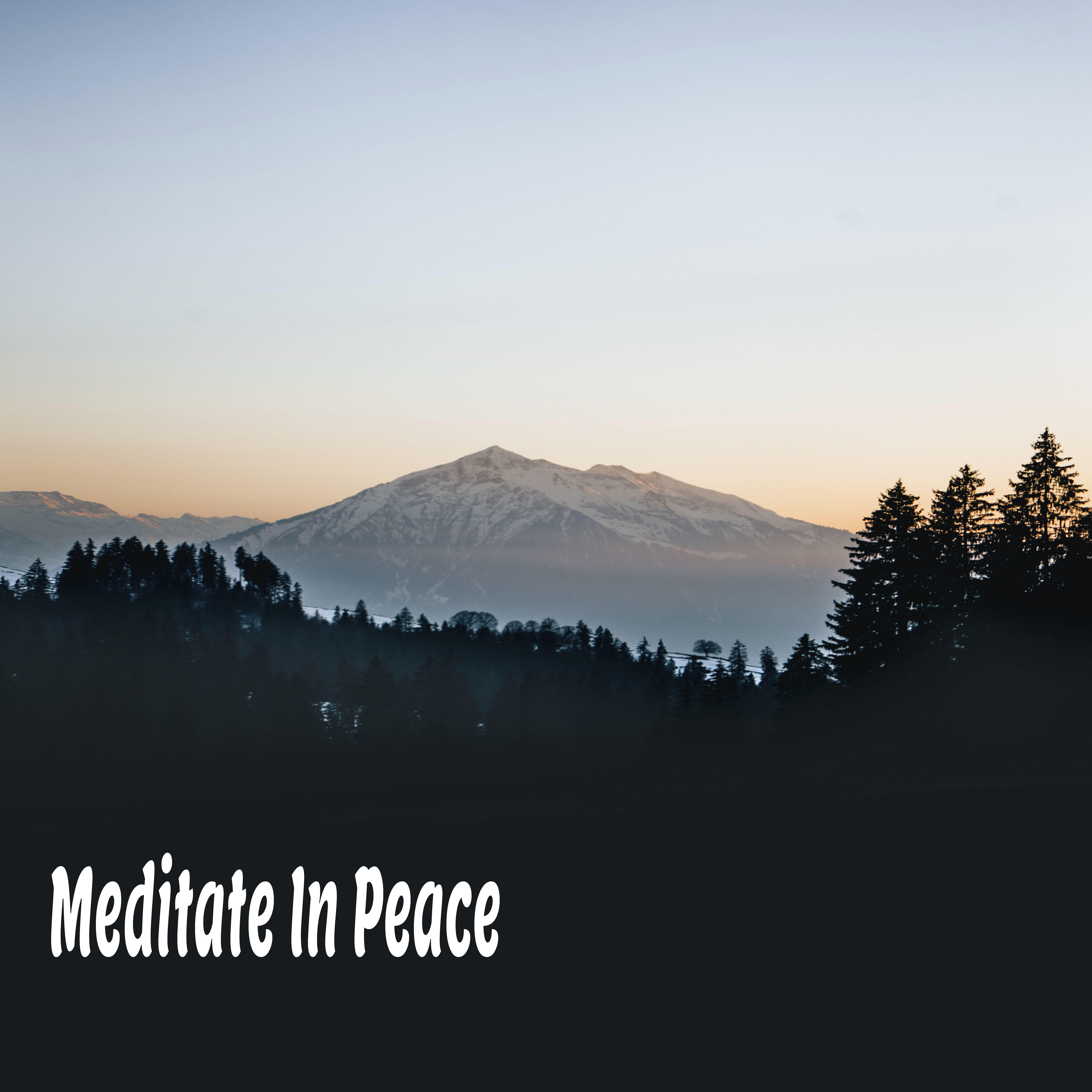 Relaxation - Birdsong, Sounds of Nature