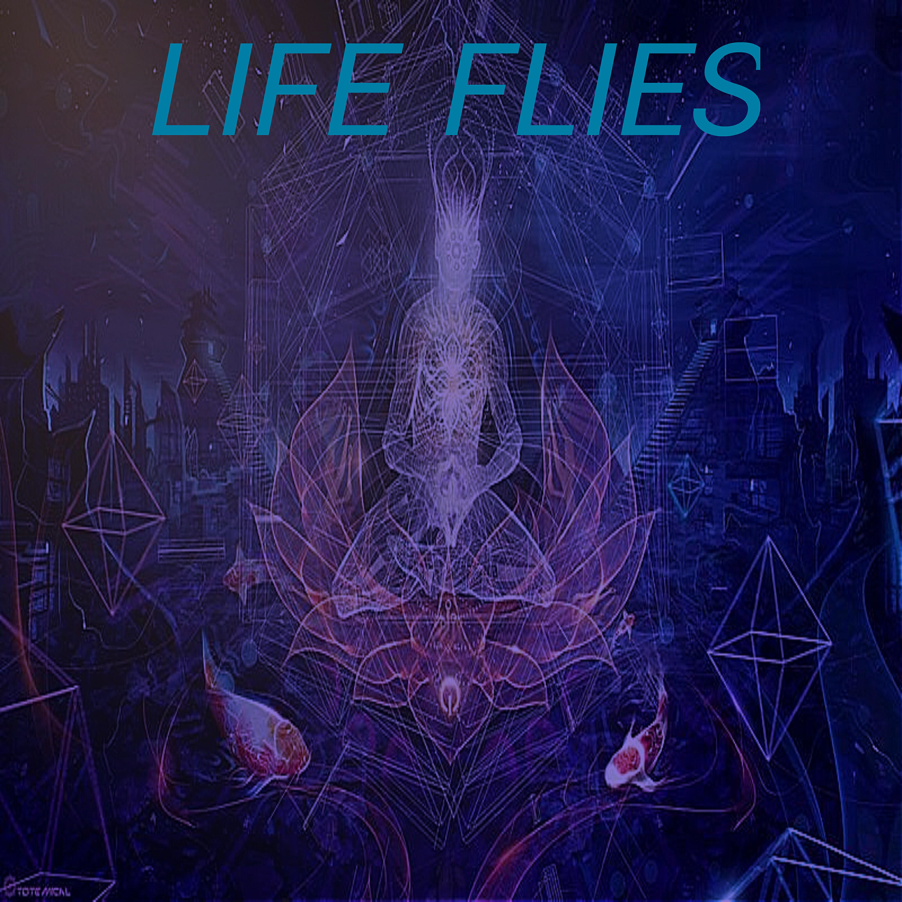 MC DJO - Life Flies