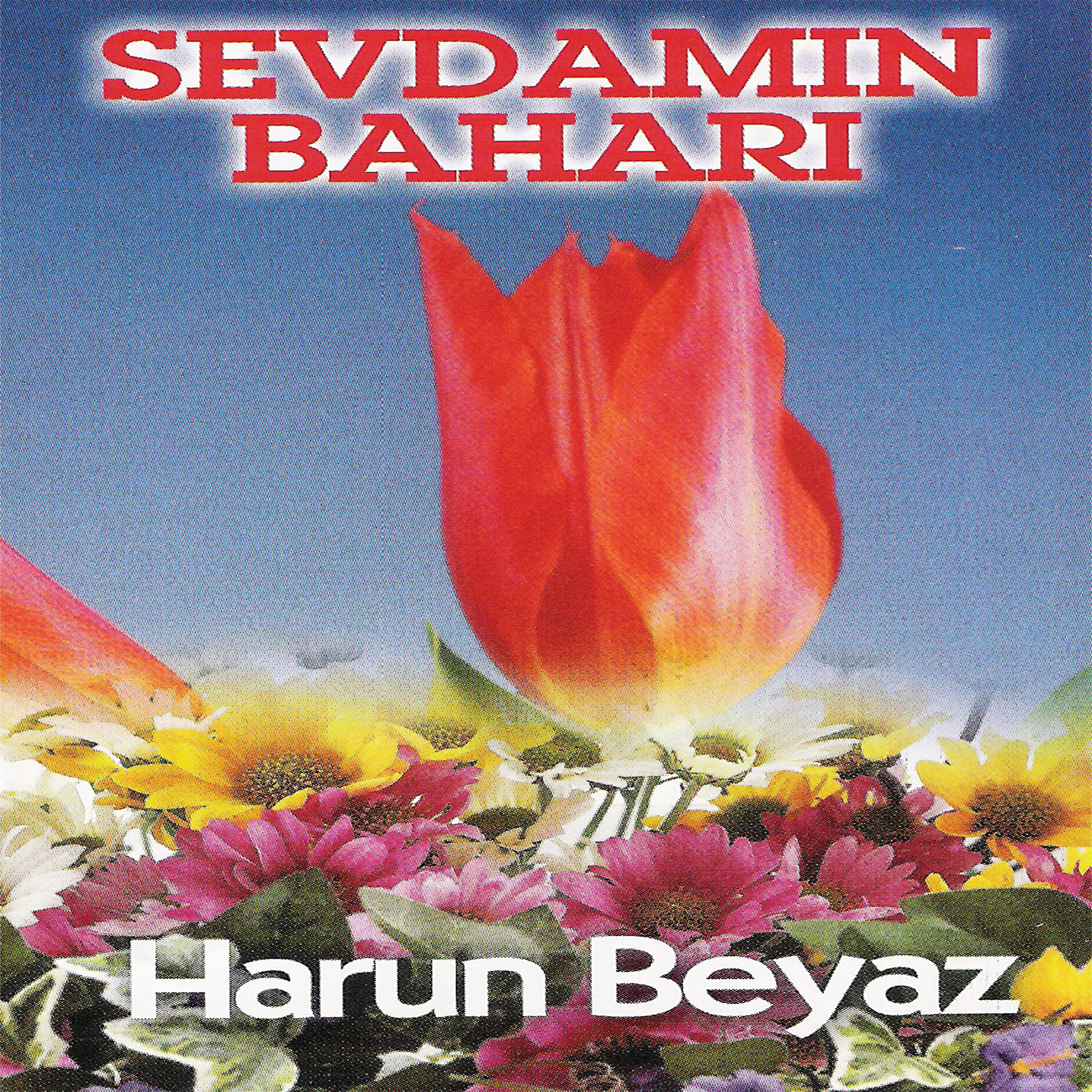 Harun Beyaz - Hakka Yürüdü