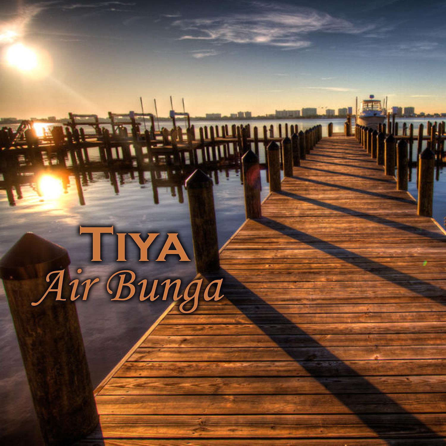 Постер альбома Air Bunga