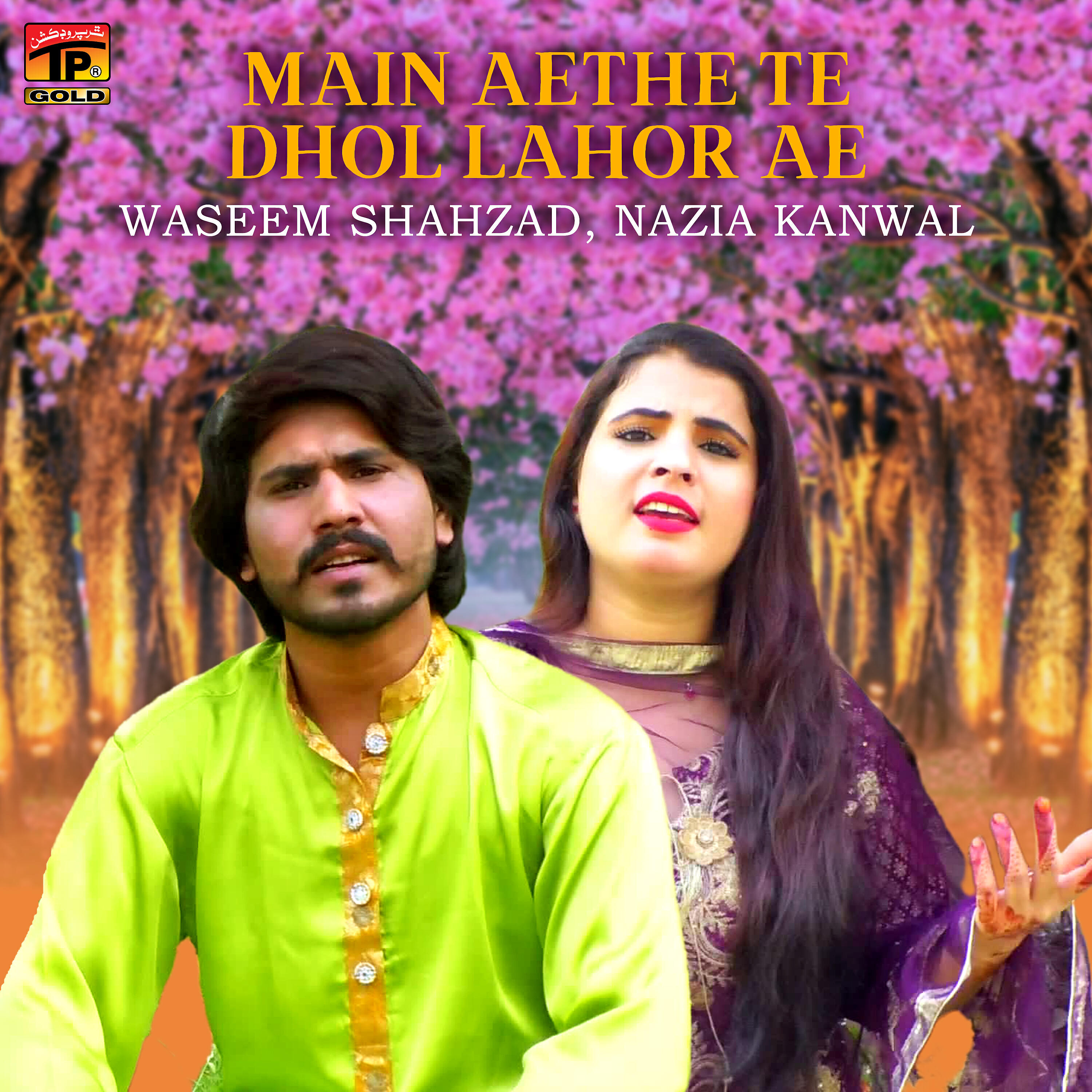 Waseem Shahzad - Main Aethe Te Dhol Lahor Ae