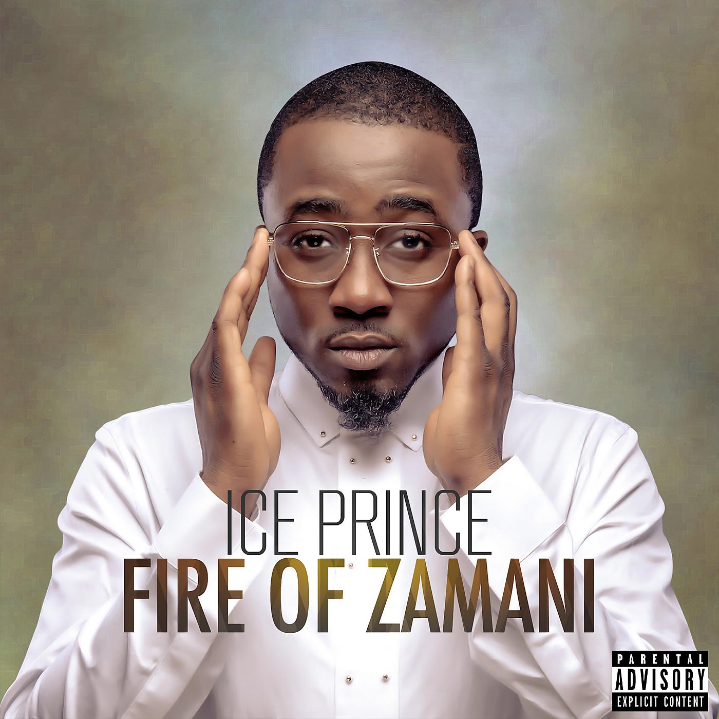 Постер альбома Fire of Zamani