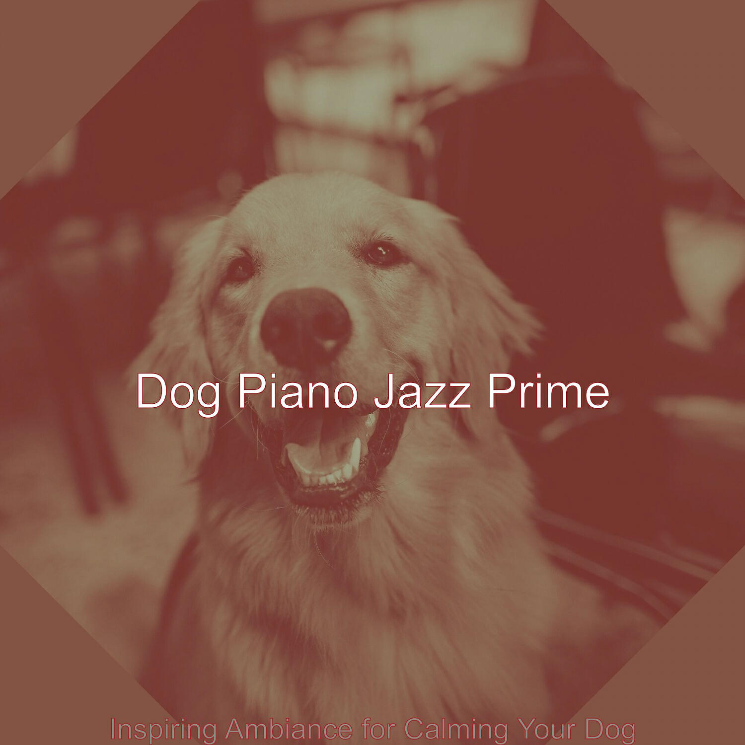 Dog Piano Jazz Prime - Sultry Solo Piano Jazz - Vibe for Separation Anxiety