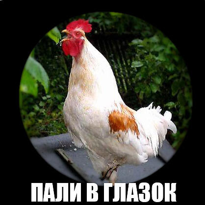 Кто Там? все песни в mp3