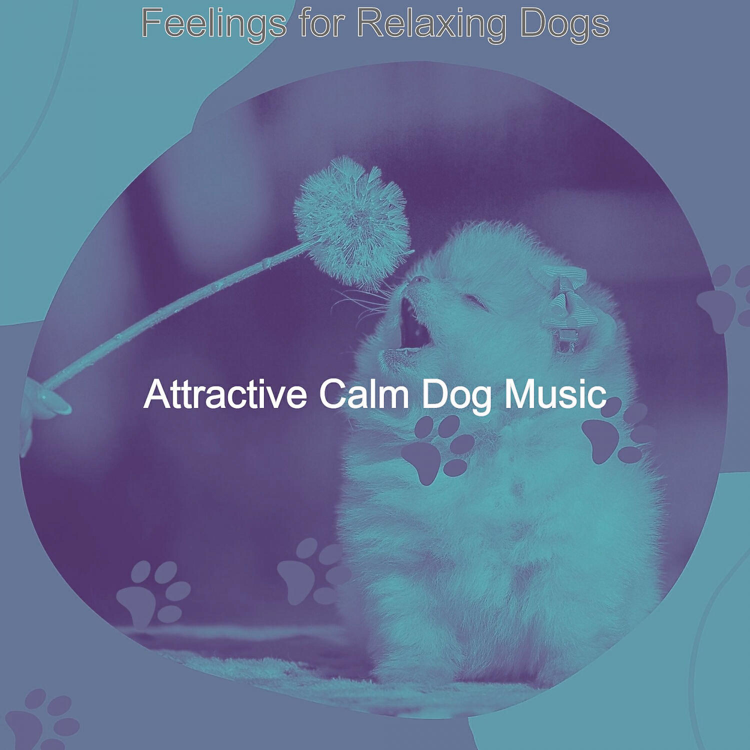 Attractive Calm Dog Music - Entertaining Music for Relaxing Dogs