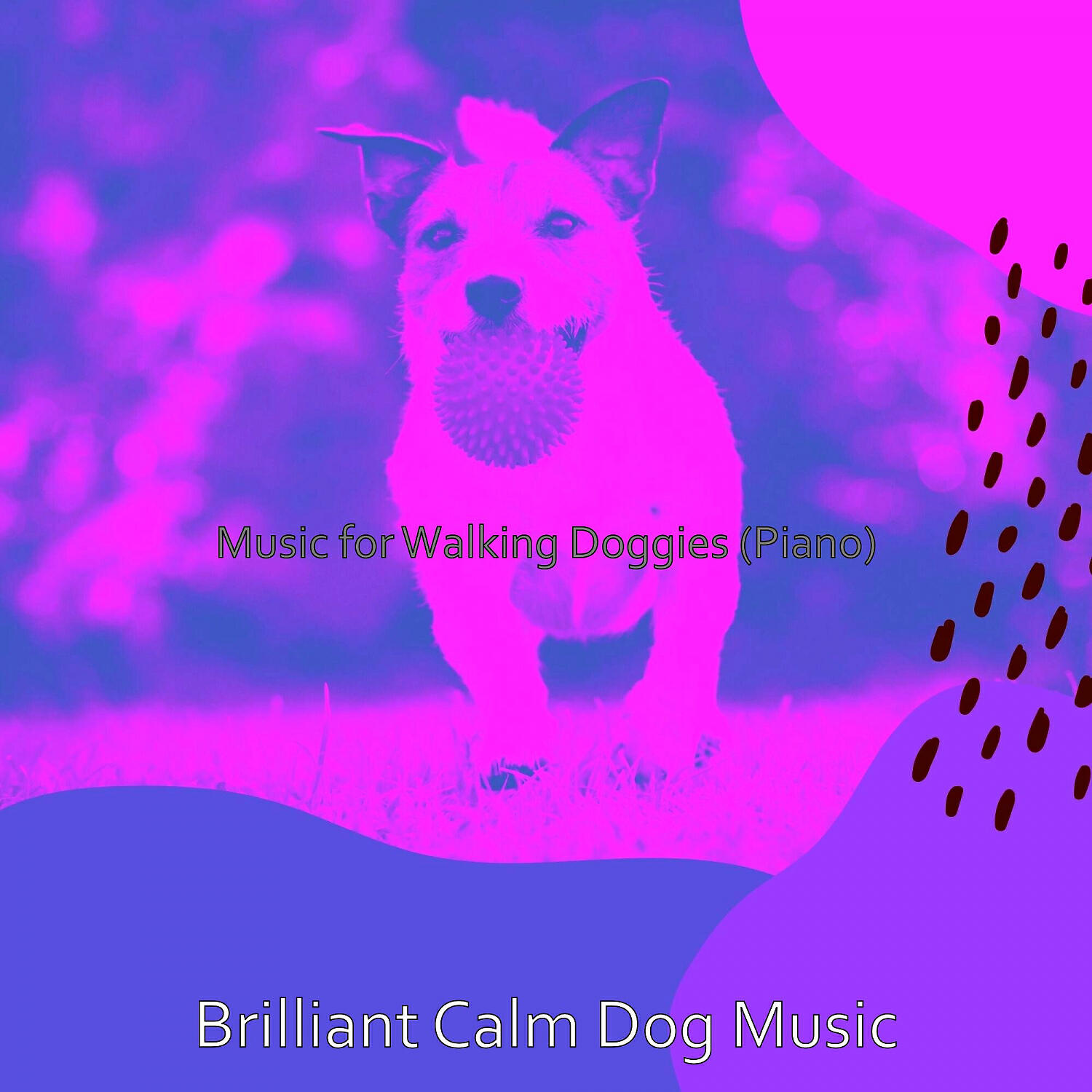 Brilliant Calm Dog Music - Cheerful Music for Cute Dogs