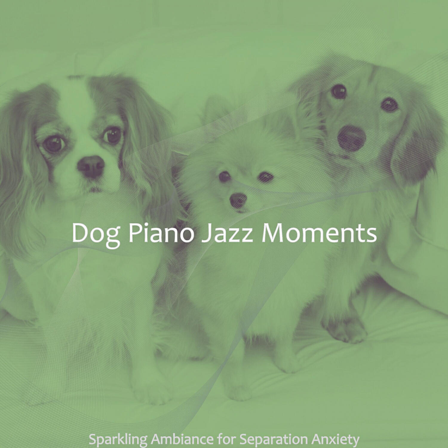Dog Piano Jazz Moments - Romantic Music for Relaxing Dogs
