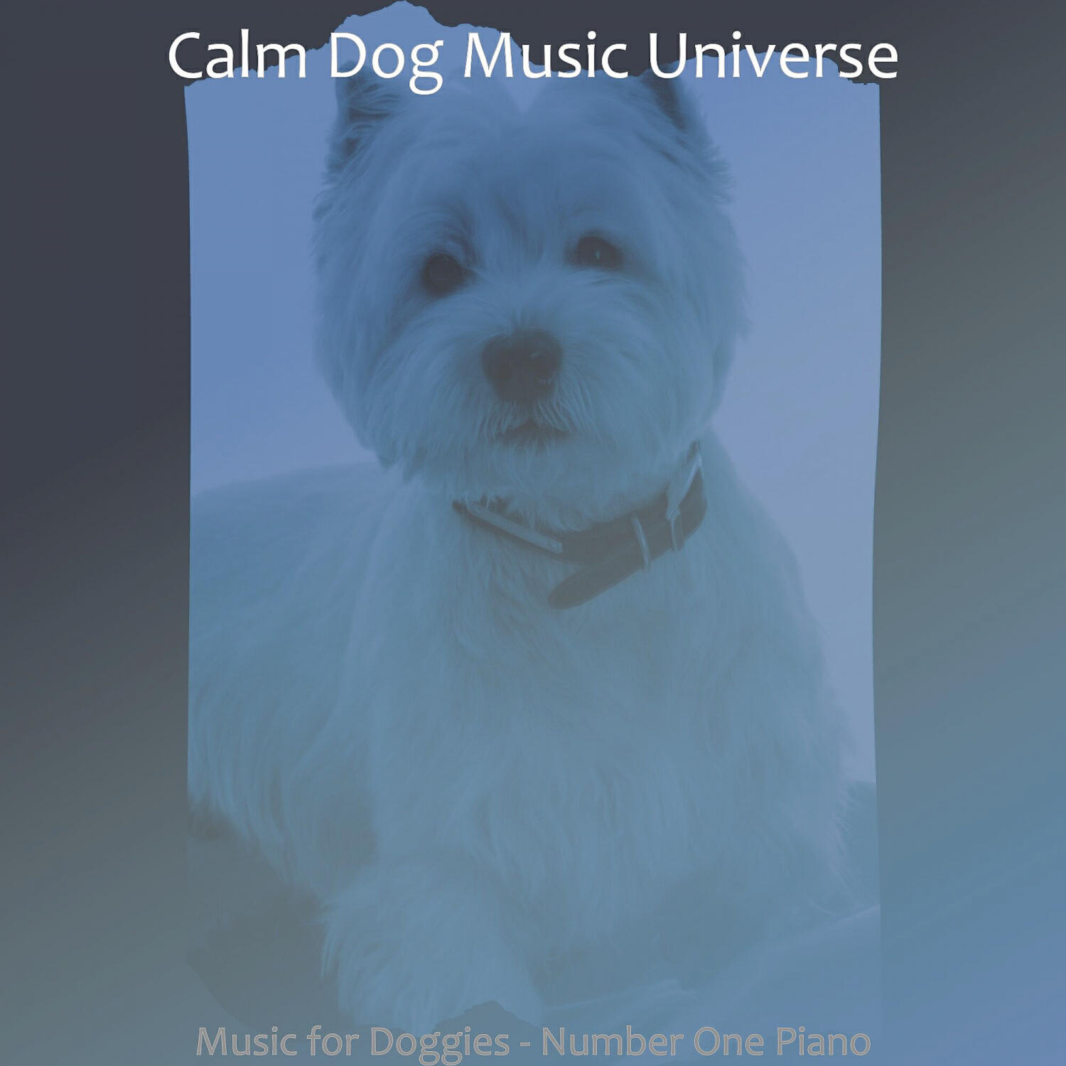 Calm Dog Music Universe - Contemporary Backdrops for Calming Pups