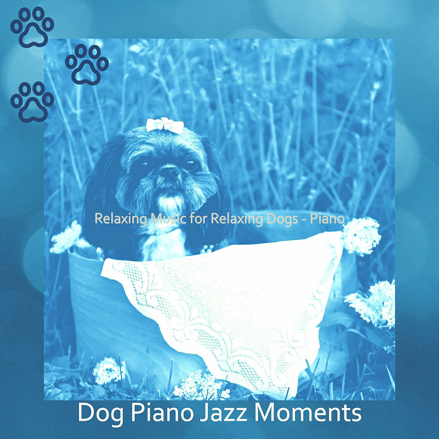 Dog Piano Jazz Moments - Deluxe Backdrops for Quiet Puppies