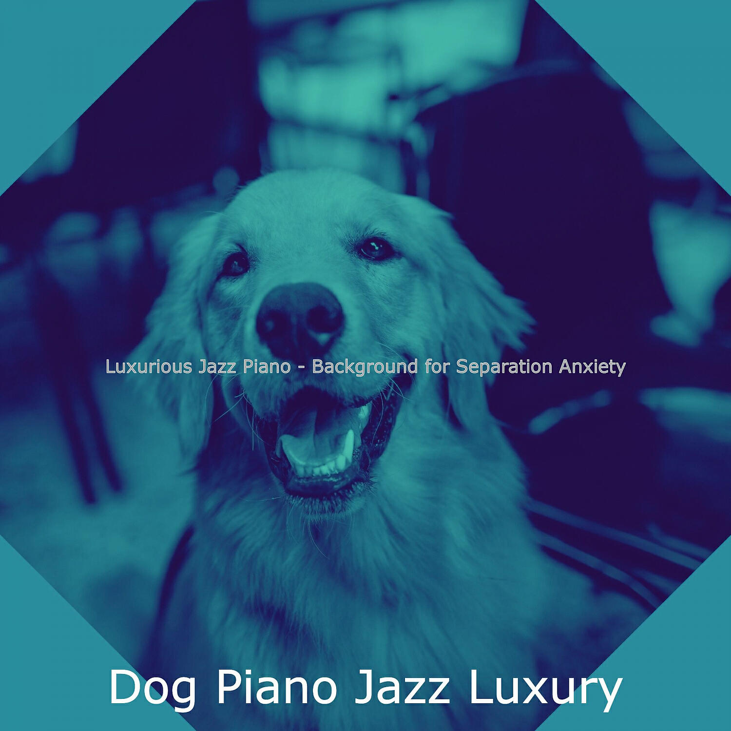 Dog Piano Jazz Luxury - Distinguished Backdrops for Relaxing Dogs
