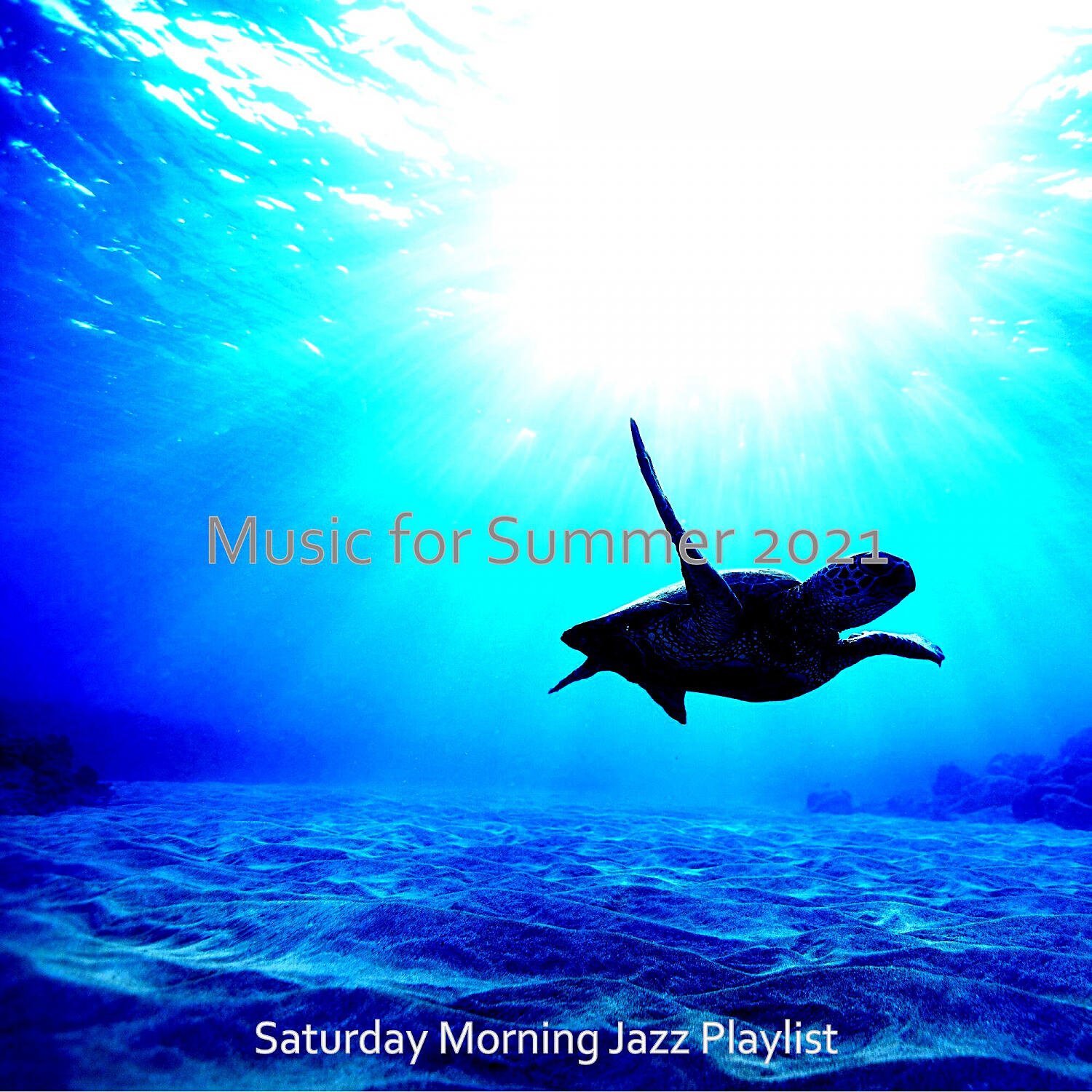 Saturday Morning Jazz Playlist - Opulent Saxophone Bossa Nova - Vibe for Traveling