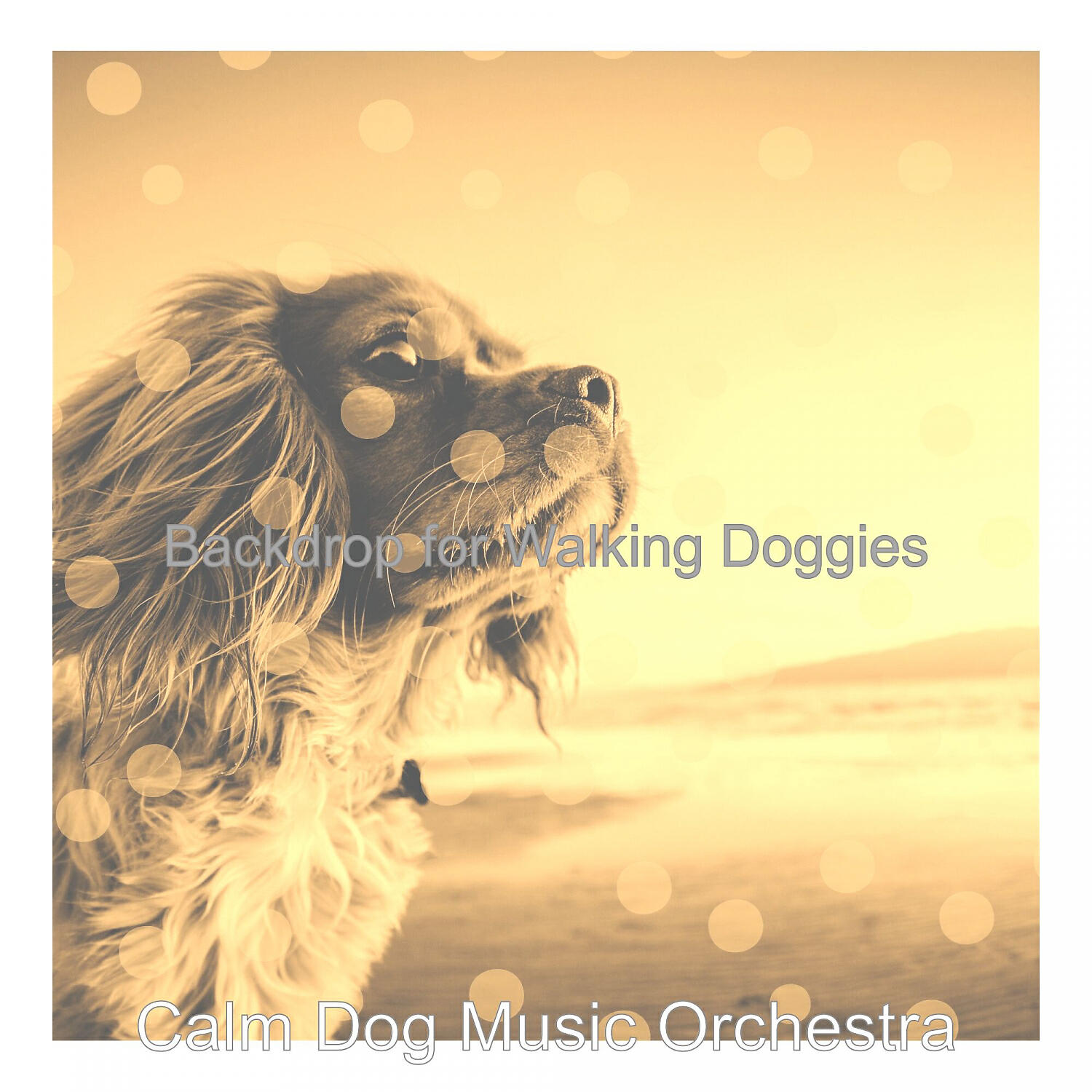 Calm Dog Music Orchestra - Sensational Solo Piano Jazz - Vibe for Walking Doggies