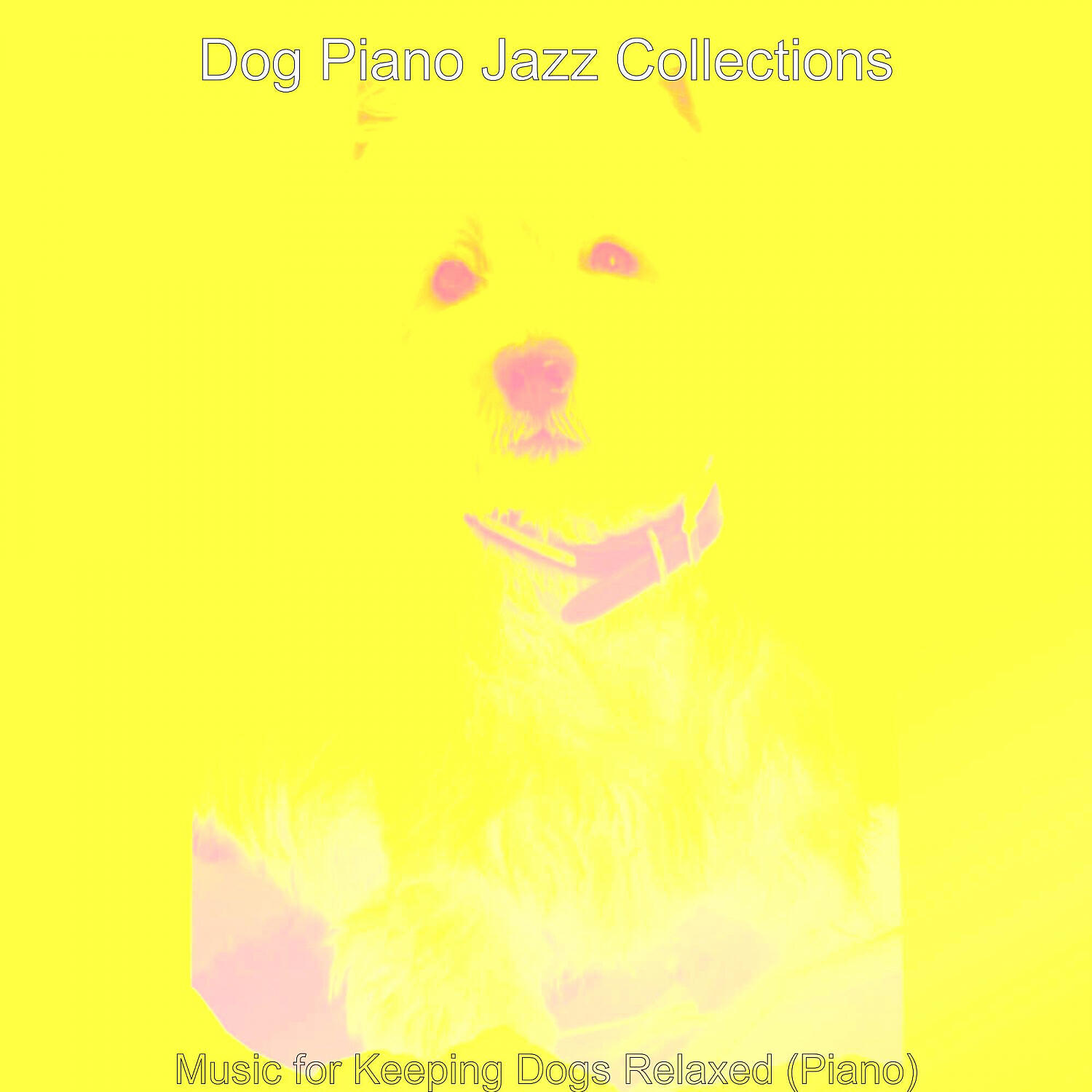 Dog Piano Jazz Collections - Beautiful Solo Piano Jazz - Vibe for Calming Your Dog