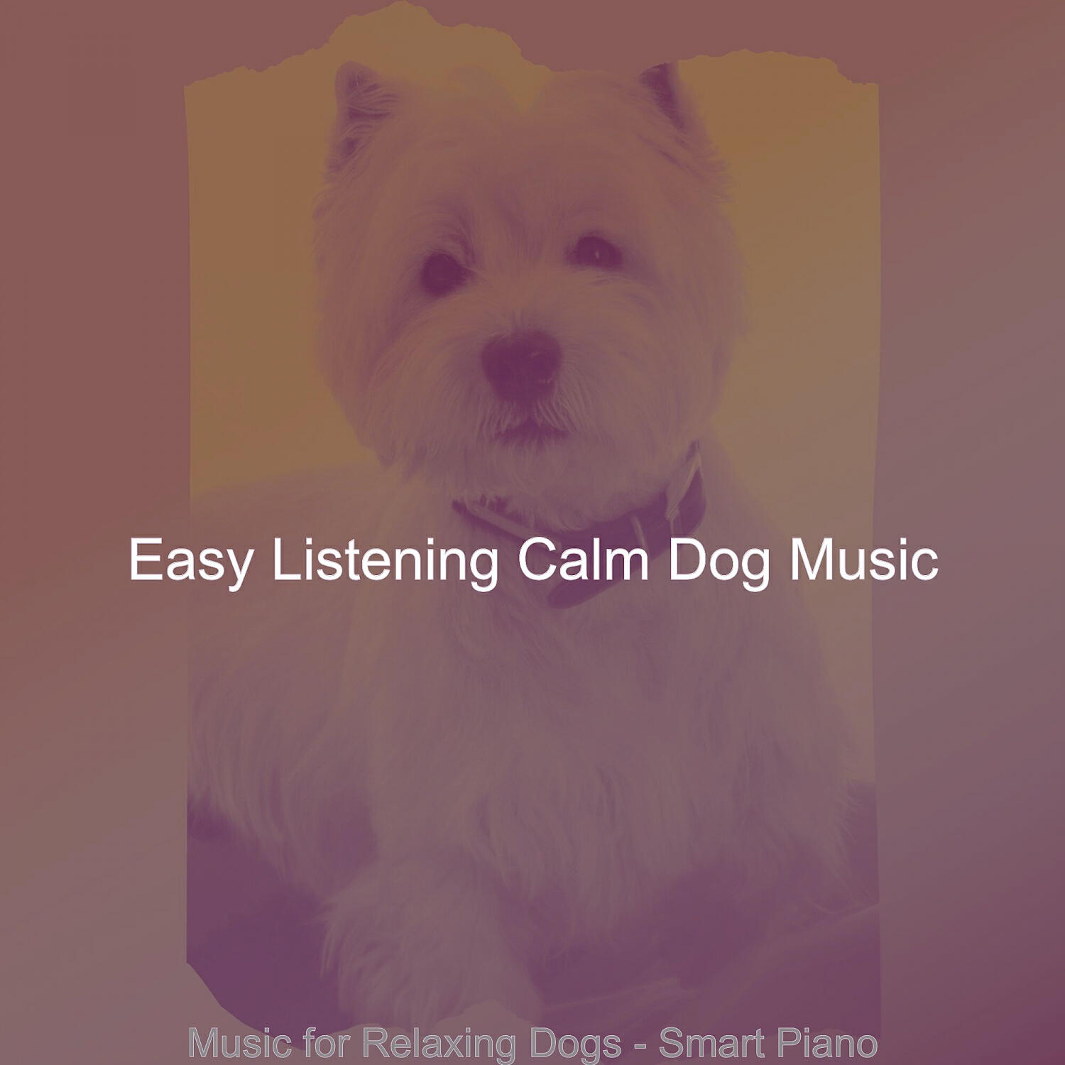 Easy Listening Calm Dog Music - Casual Solo Piano Jazz - Vibe for Relaxing Dogs