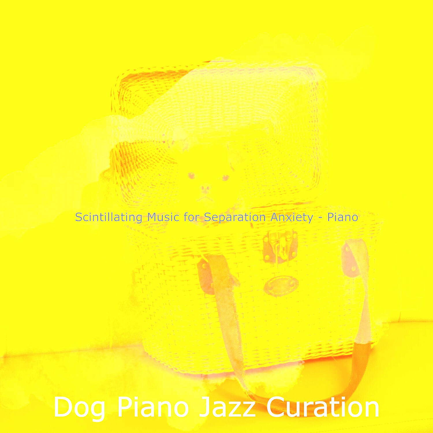 Dog Piano Jazz Curation - Outstanding Solo Piano Jazz - Vibe for Sleeping Dogs