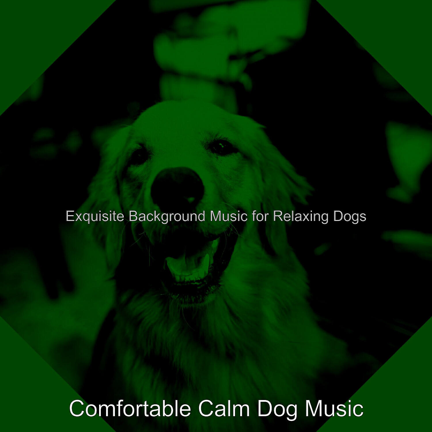 Comfortable Calm Dog Music - Piano Jazz Soundtrack for Calming Pups