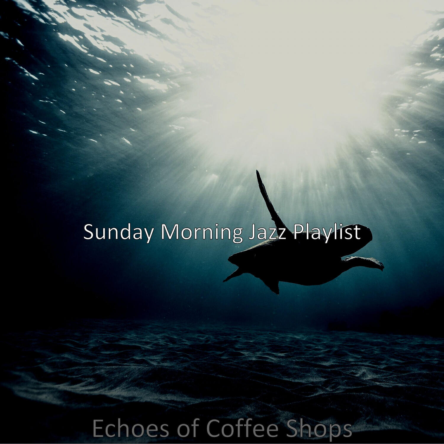 Sunday Morning Jazz Playlist - Sensational Saxophone Bossa Nova - Vibe for Classy Restaurants