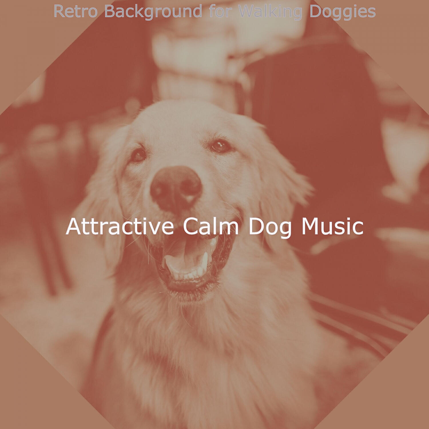 Attractive Calm Dog Music - Background for Walking Doggies