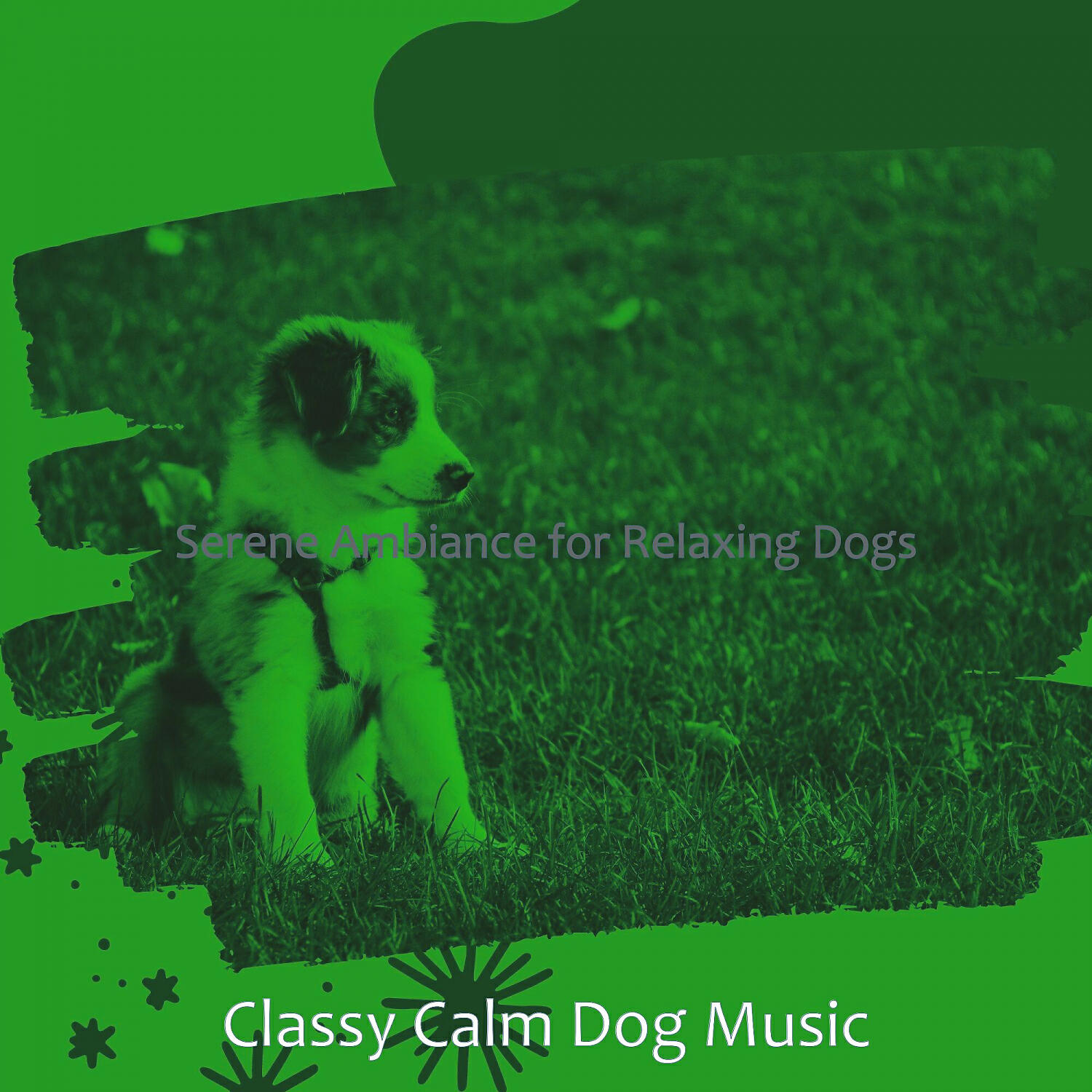 Classy Calm Dog Music - Retro Solo Piano Jazz - Vibe for Calming Pups