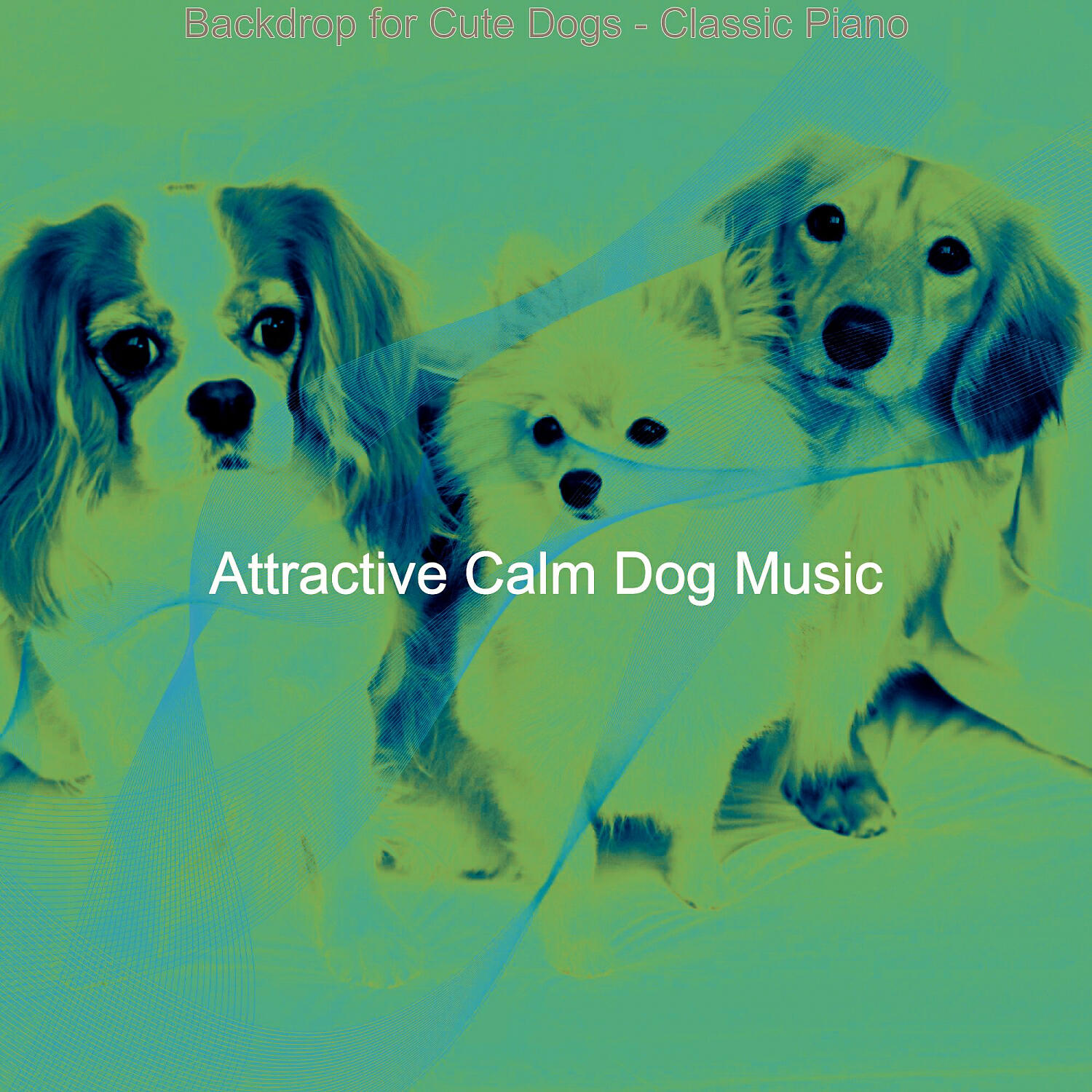 Attractive Calm Dog Music - Subdued Music for Cute Dogs