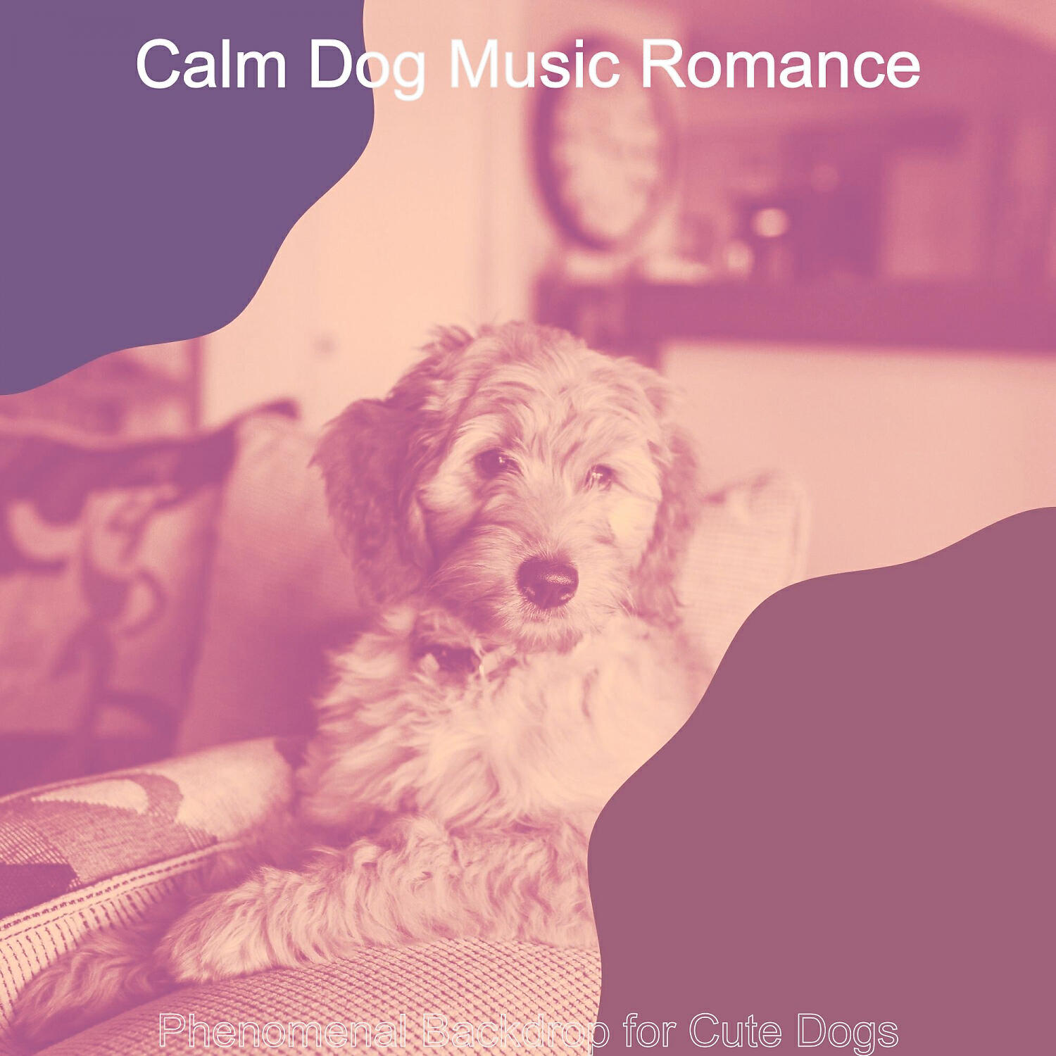 Calm Dog Music Romance - Remarkable Ambiance for Cute Dogs