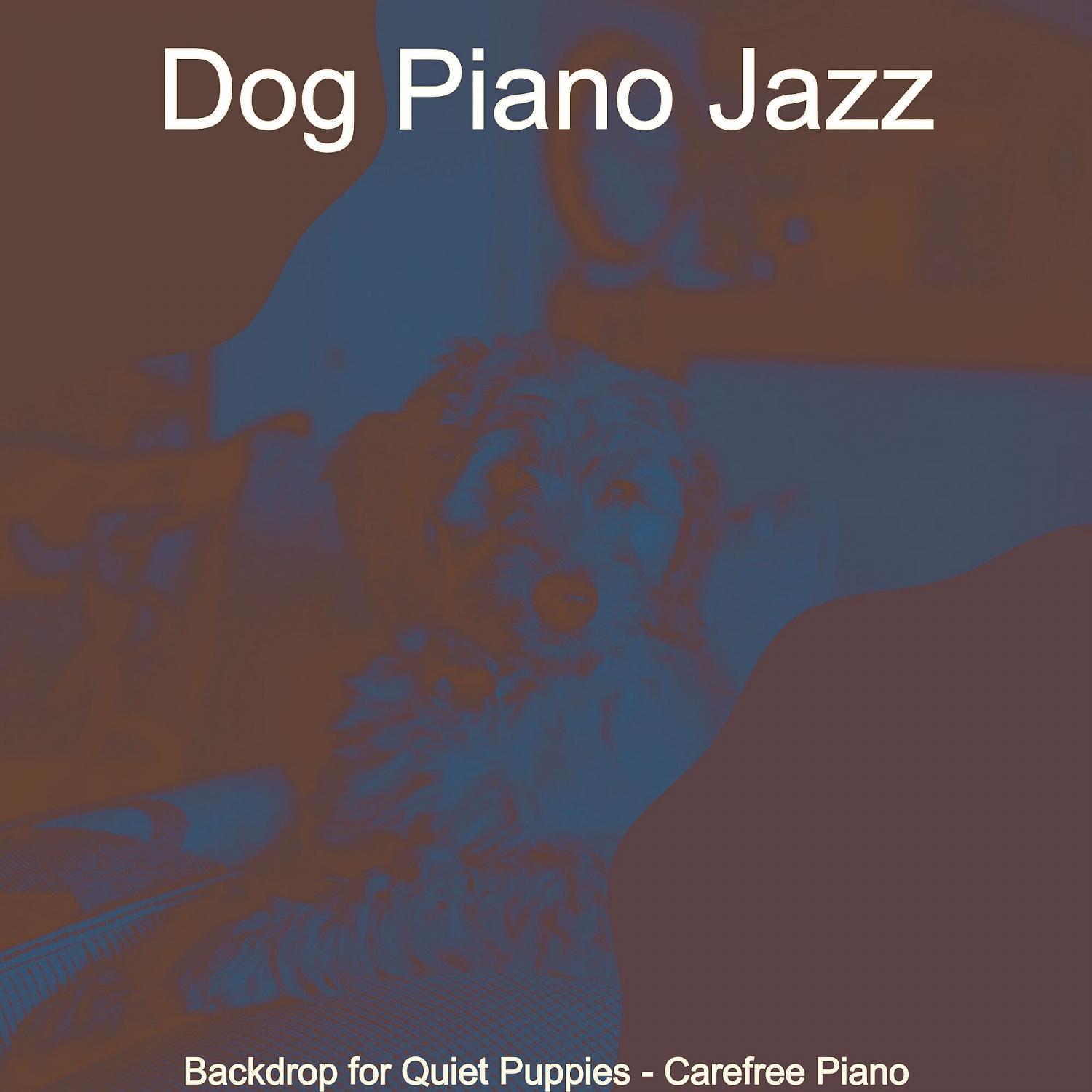 Постер альбома Backdrop for Quiet Puppies - Carefree Piano