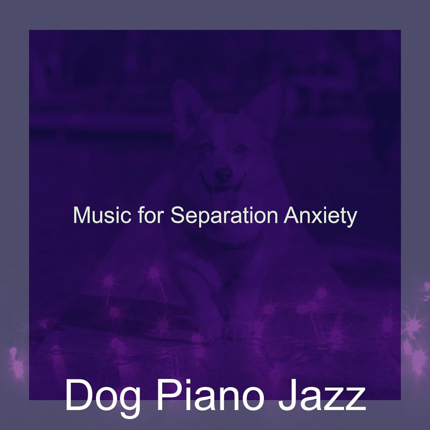 Постер альбома Music for Separation Anxiety