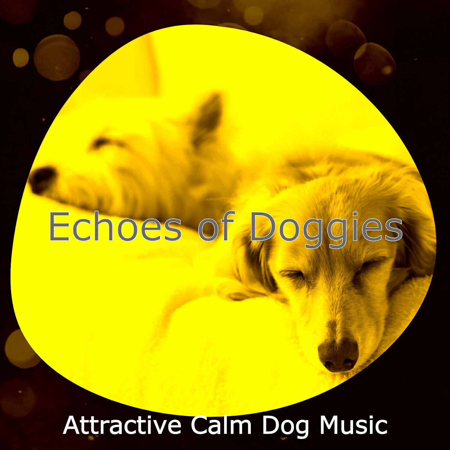 Attractive Calm Dog Music - Spirited Walking Doggies