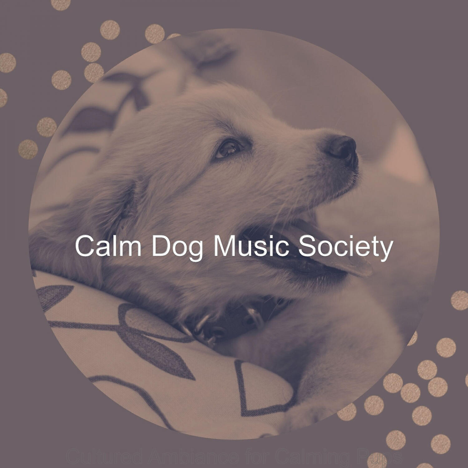 Calm Dog Music Society - Cultivated Solo Piano Jazz - Vibe for Walking Doggies