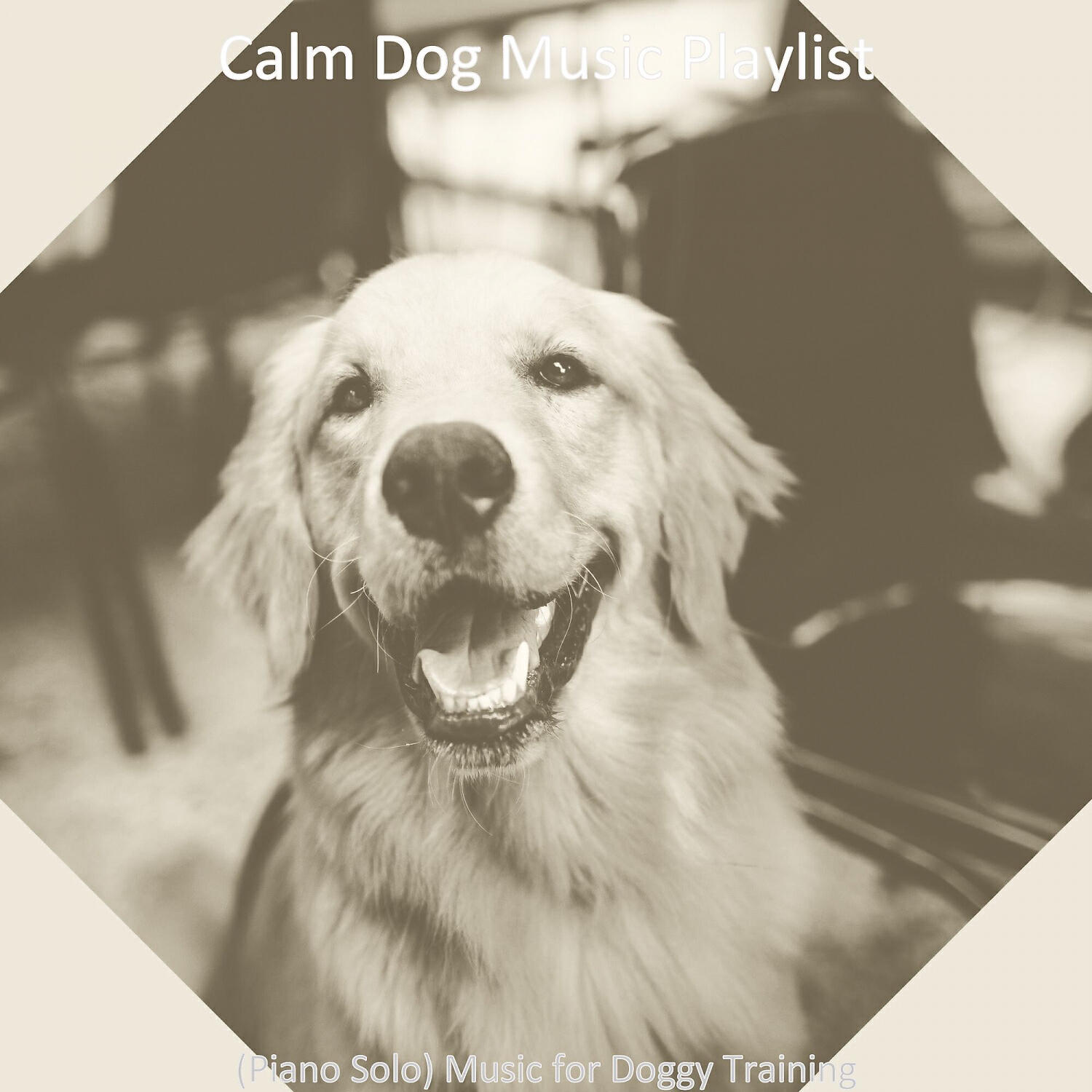 Calm Dog Music Playlist - Wonderful Solo Piano Jazz - Vibe for Walking Doggies