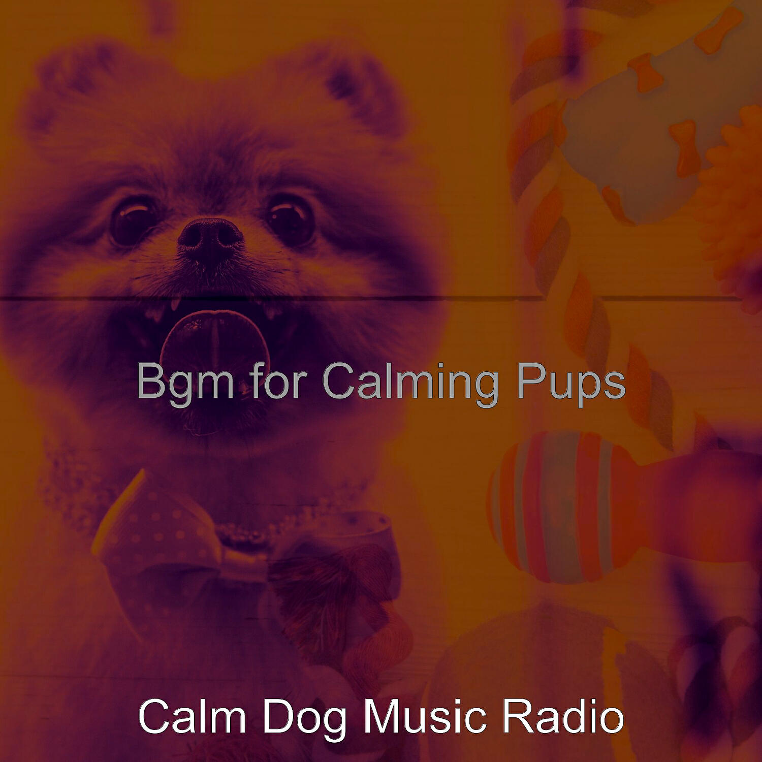 Calm Dog Music Radio - Brilliant Solo Piano Jazz - Vibe for Doggies