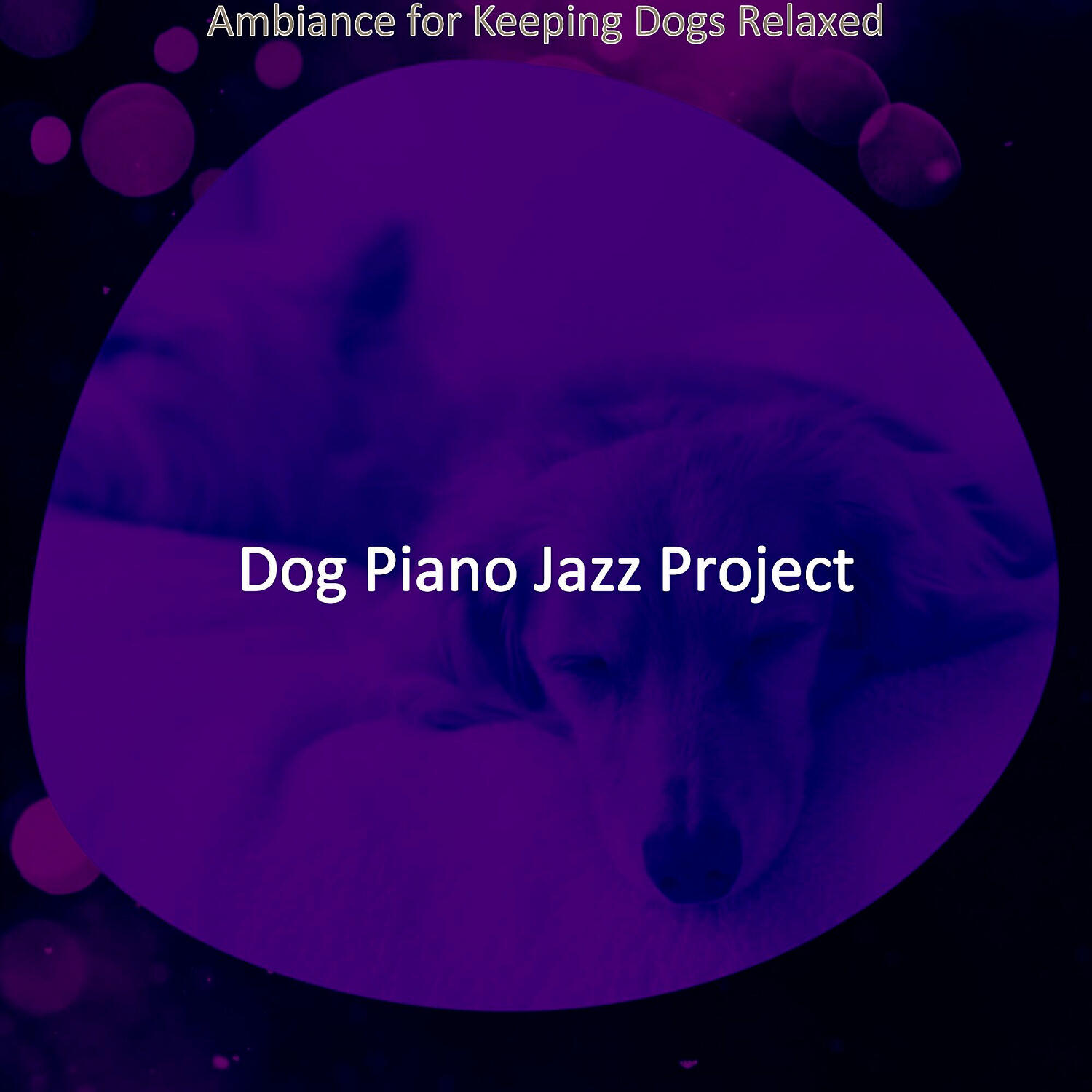 Dog Piano Jazz Project - Cultured Solo Piano Jazz - Vibe for Relaxing Dogs