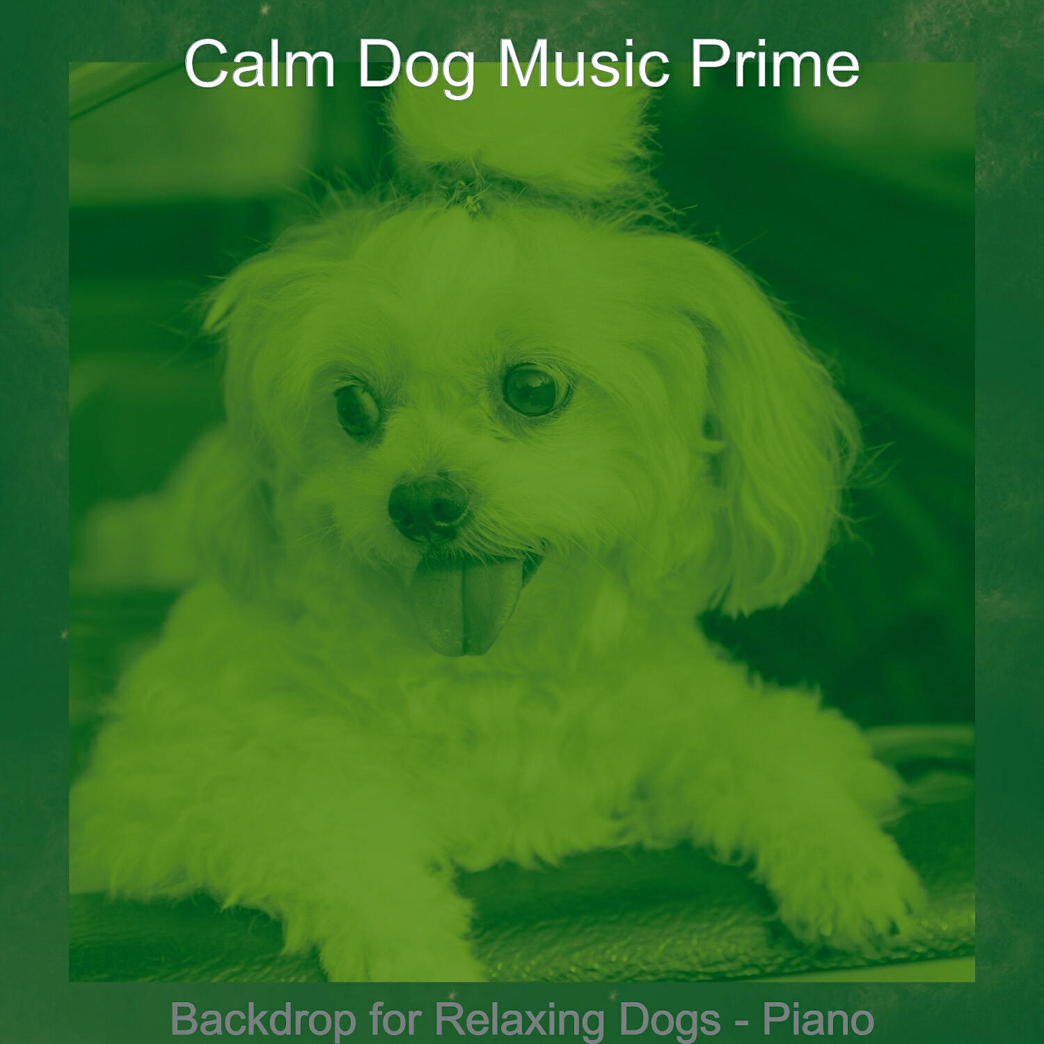 Calm Dog Music Prime - Outstanding Solo Piano Jazz - Vibe for Doggies