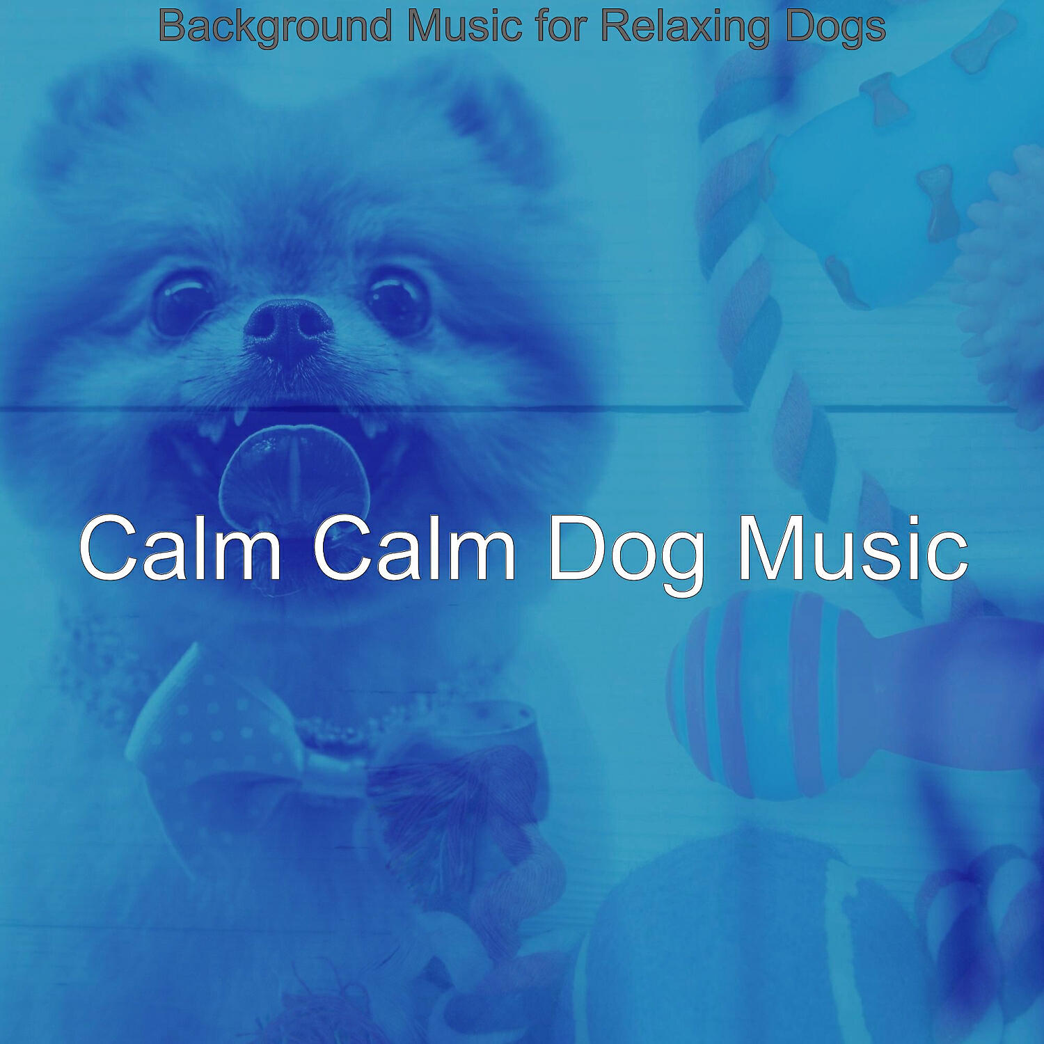 Calm Calm Dog Music - Marvellous Ambience for Calming Pups