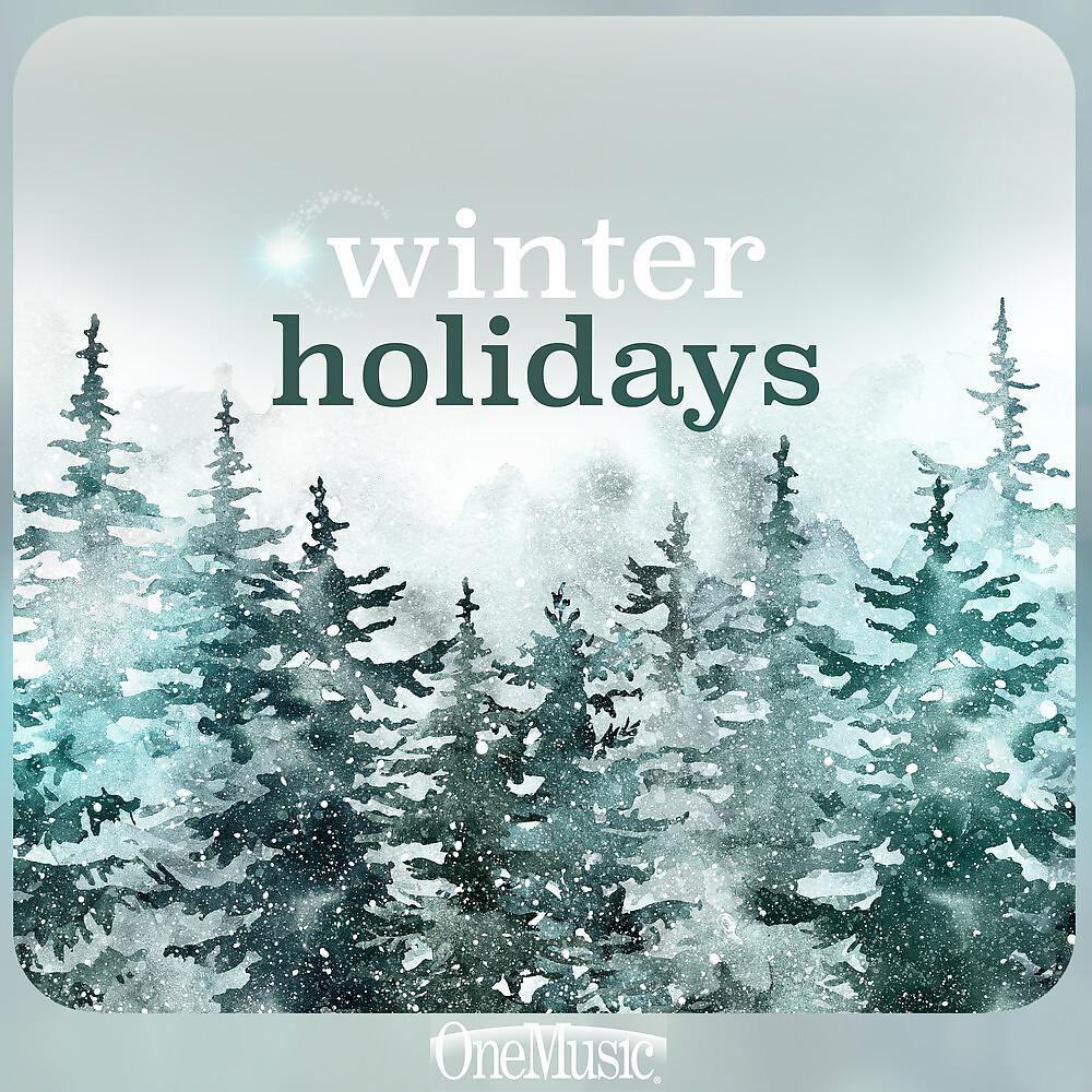 Постер альбома Winter Holidays