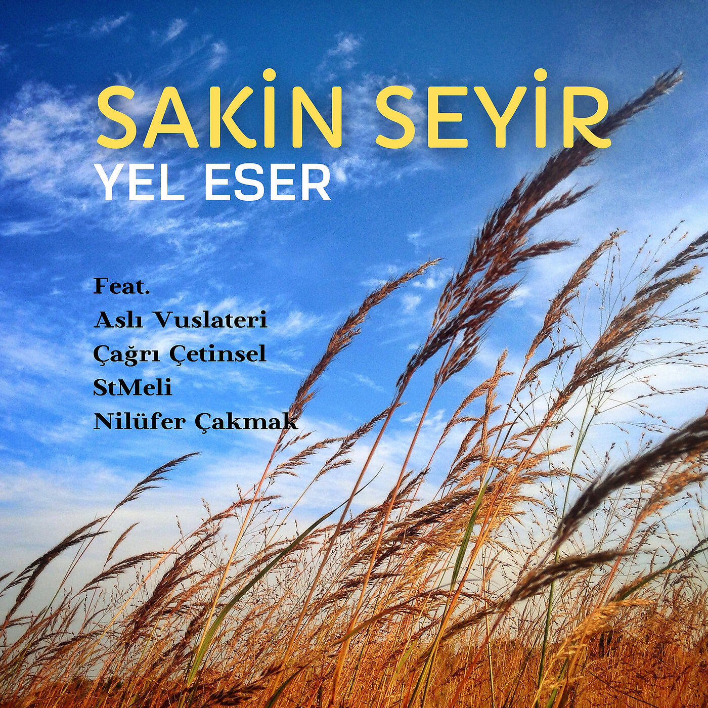 Sakin Seyir - Yel Eser Savurur