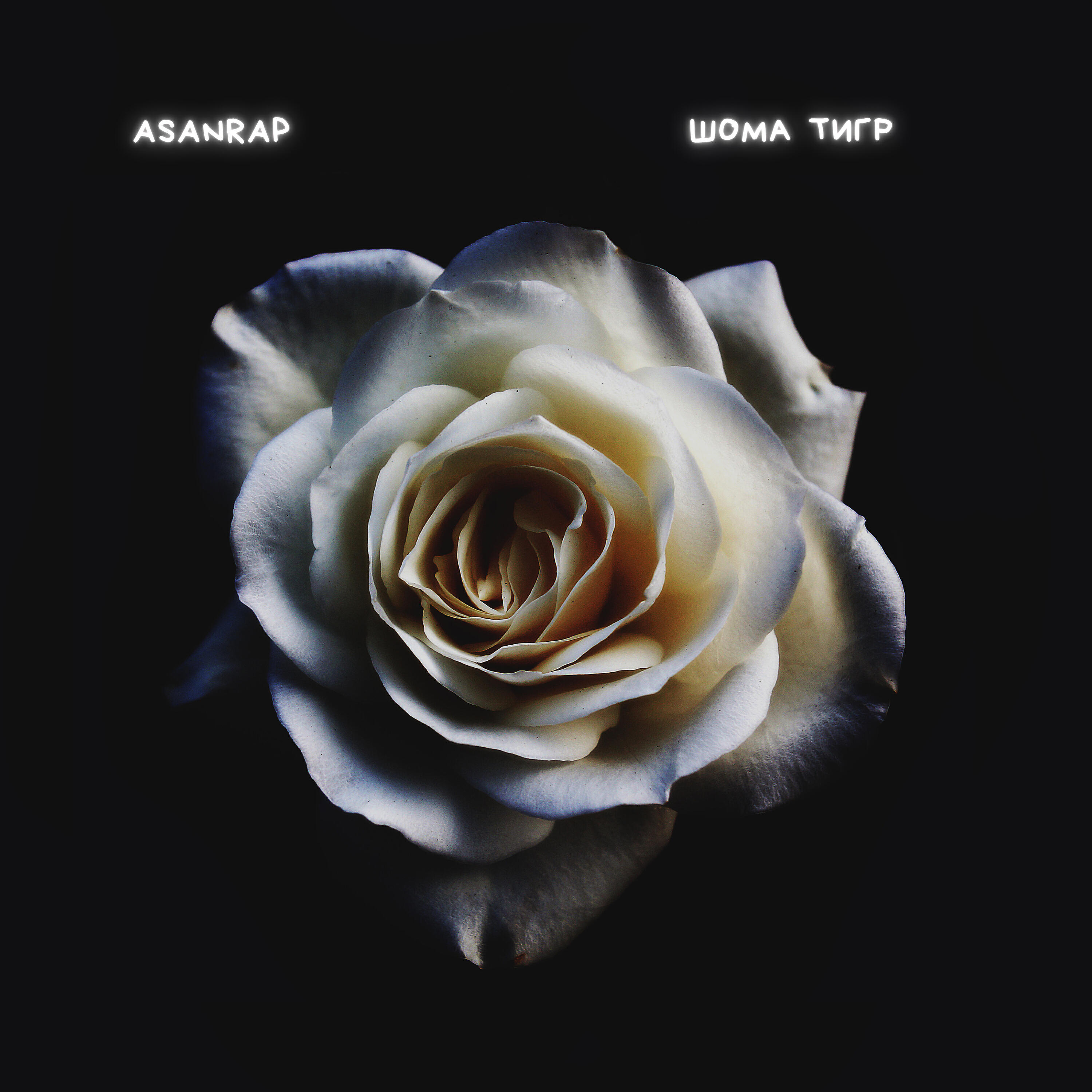 asanrap - Шома тигр