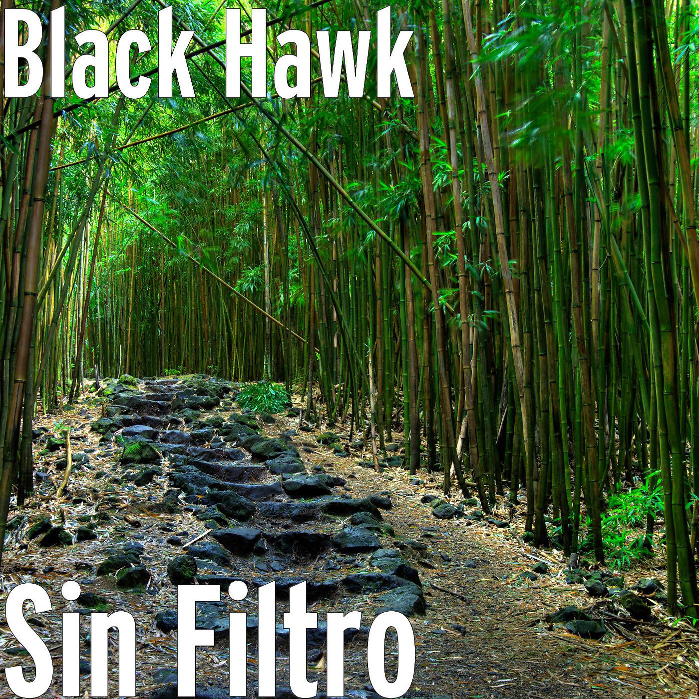 Постер альбома Sin Filtro