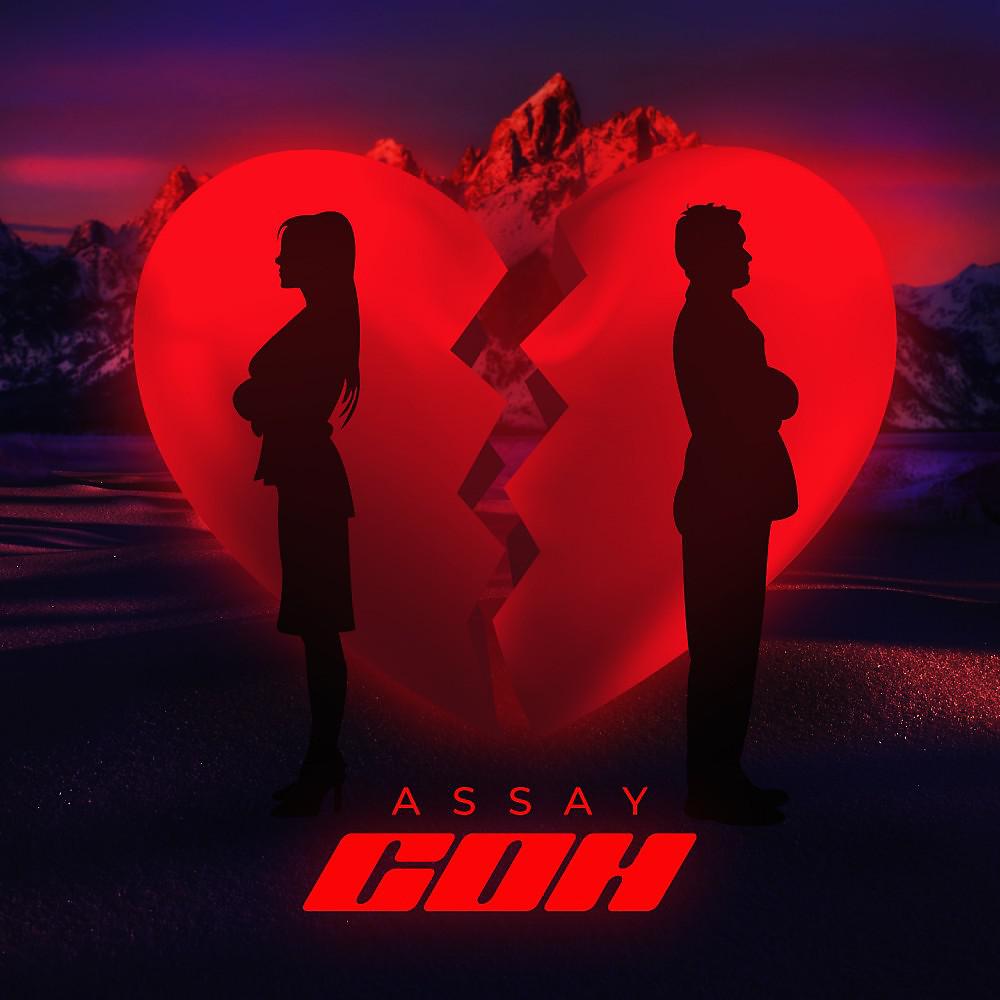 Постер альбома Assay - Сон