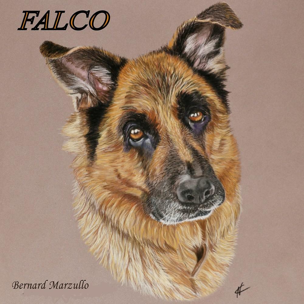 Постер альбома Falco
