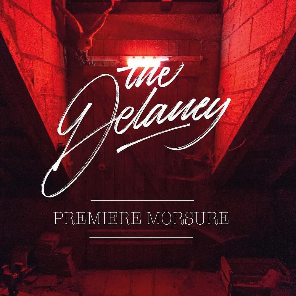The Delaney - Libertines