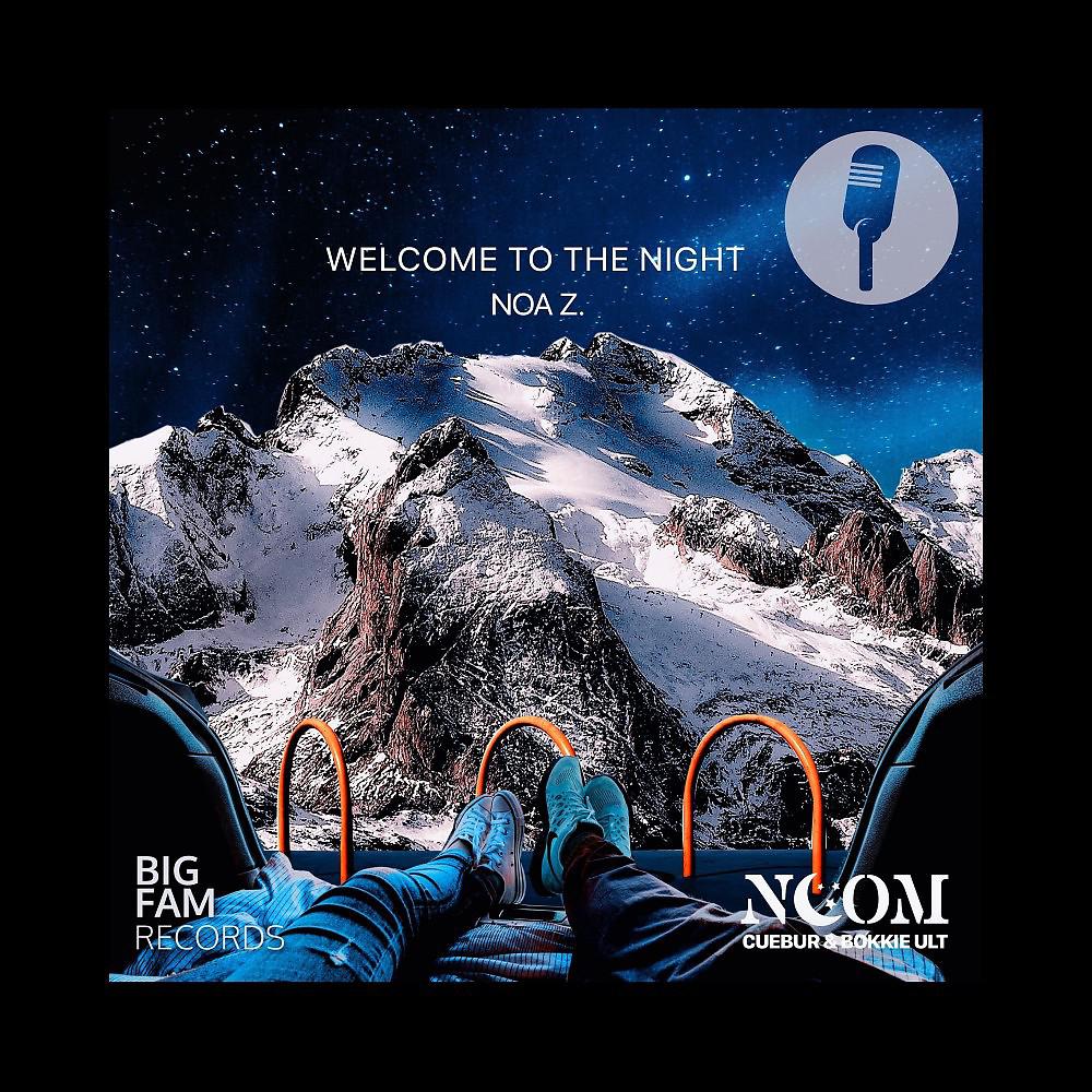 Постер альбома Welcome to the Night (Radio Edit)