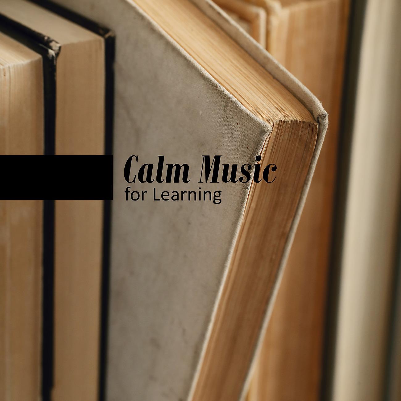 Постер альбома Calm Music for Learning - Music for Concentration and Better Effects