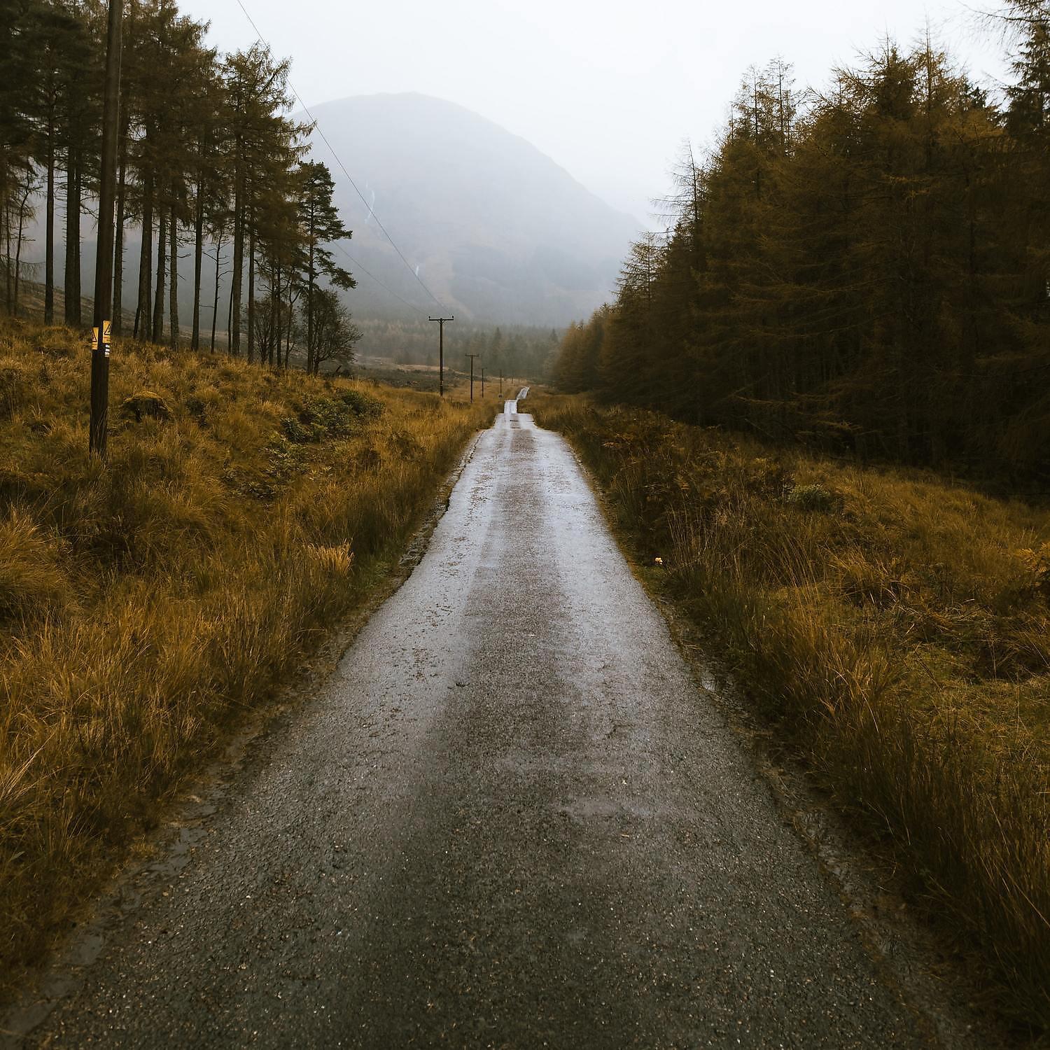 Lowly Soughs of Car Rain for Babies - Smooth Sounds of Car Rainfall inside for sleep
