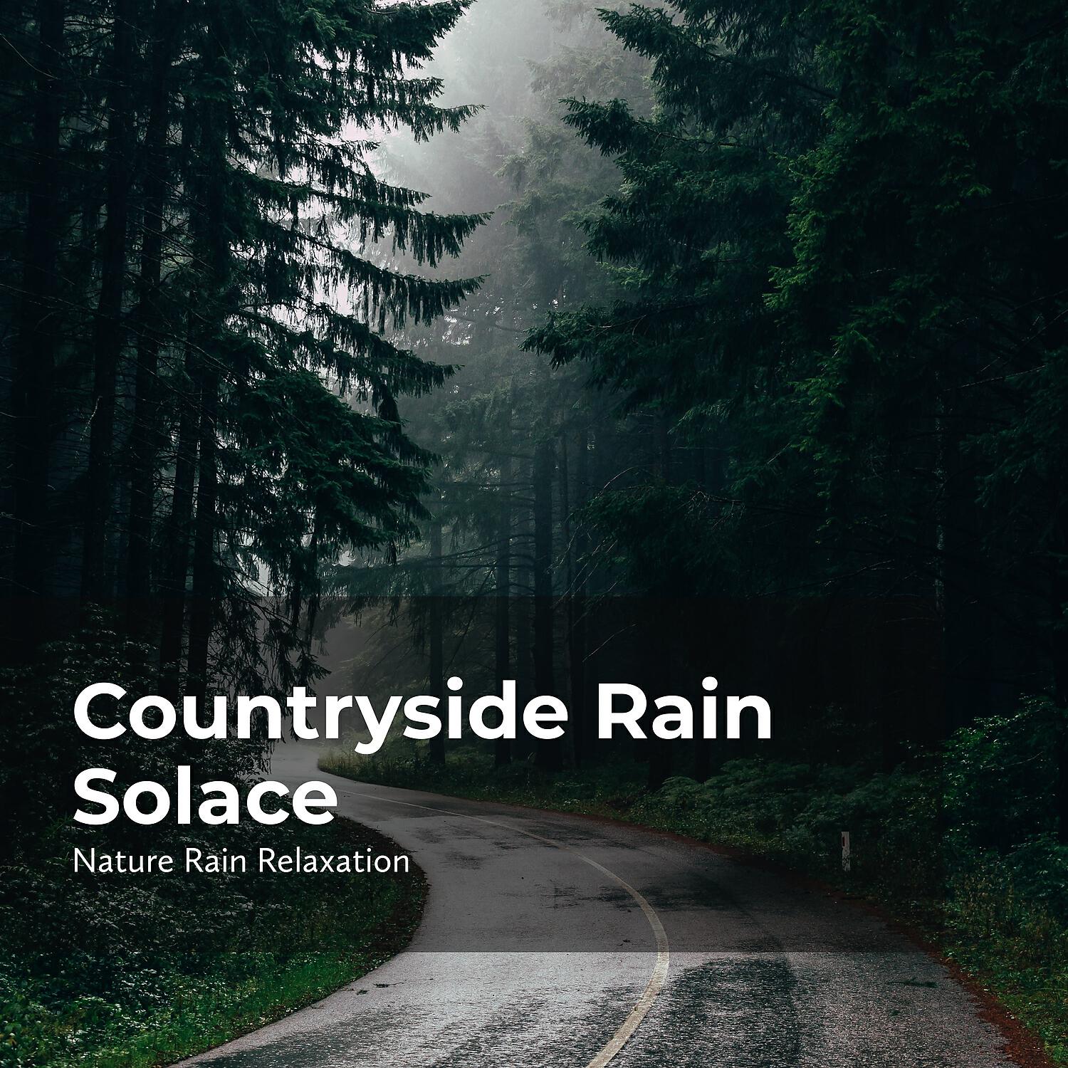 Nature Rain Relaxation - Rain Showers in Nature