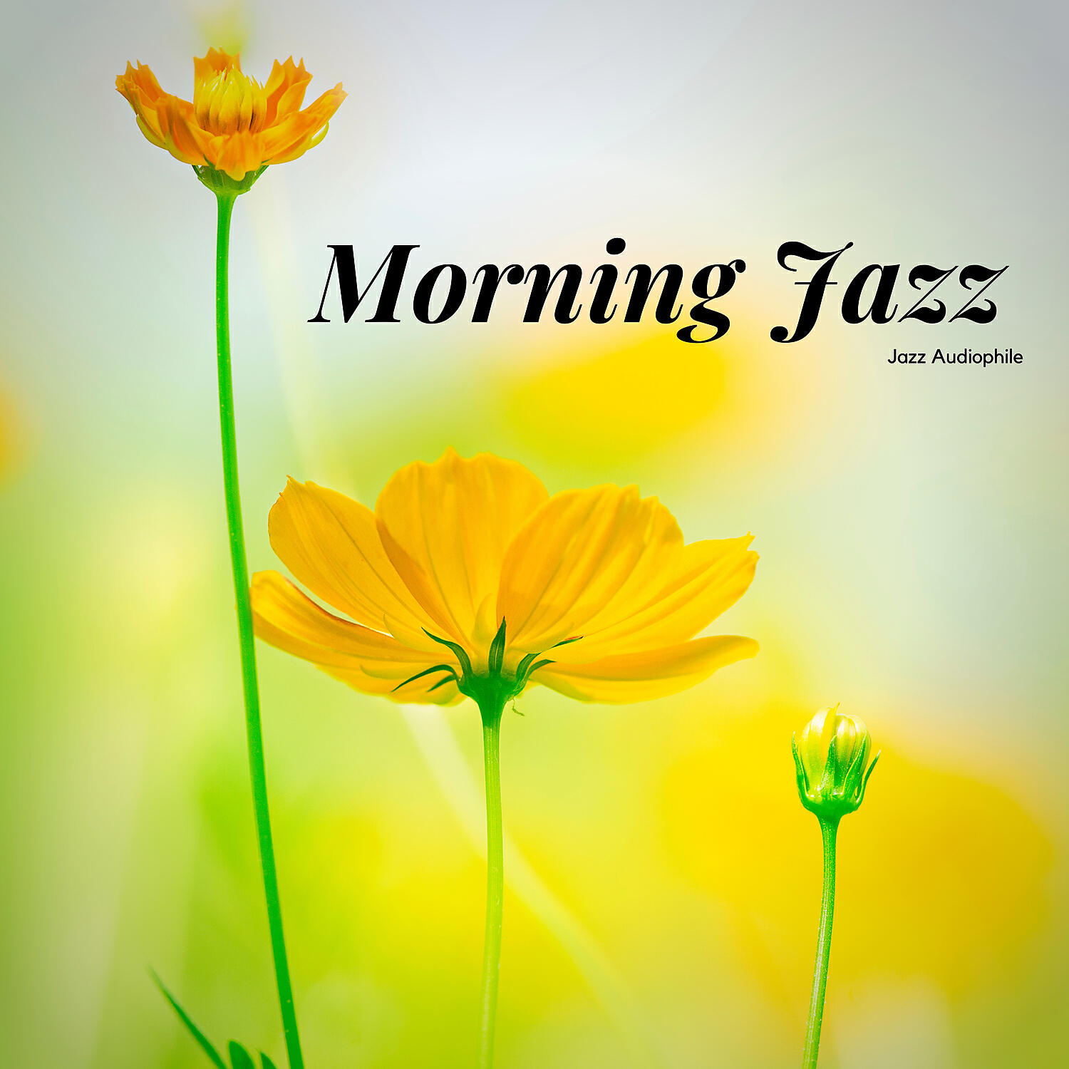 Jazz Audiophile - Back to Normal