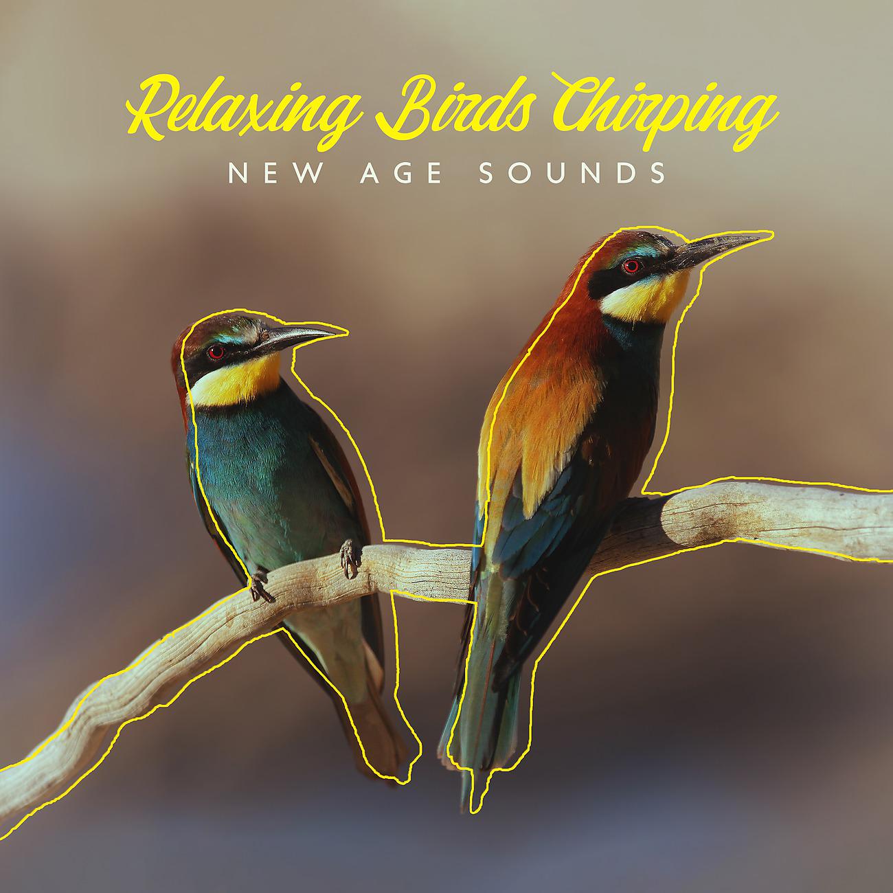 Постер альбома Relaxing Birds Chirping