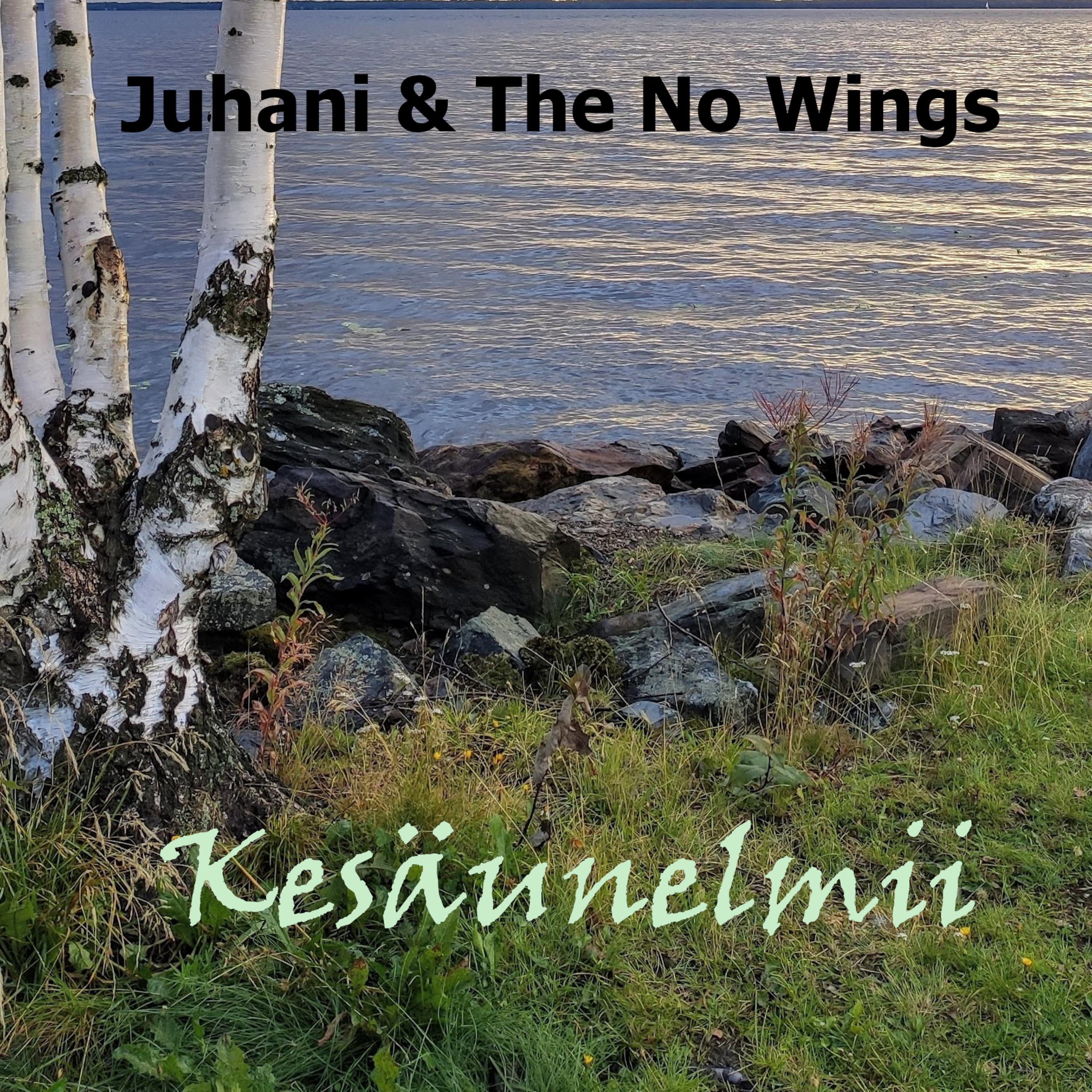 Постер альбома Kesäunelmii