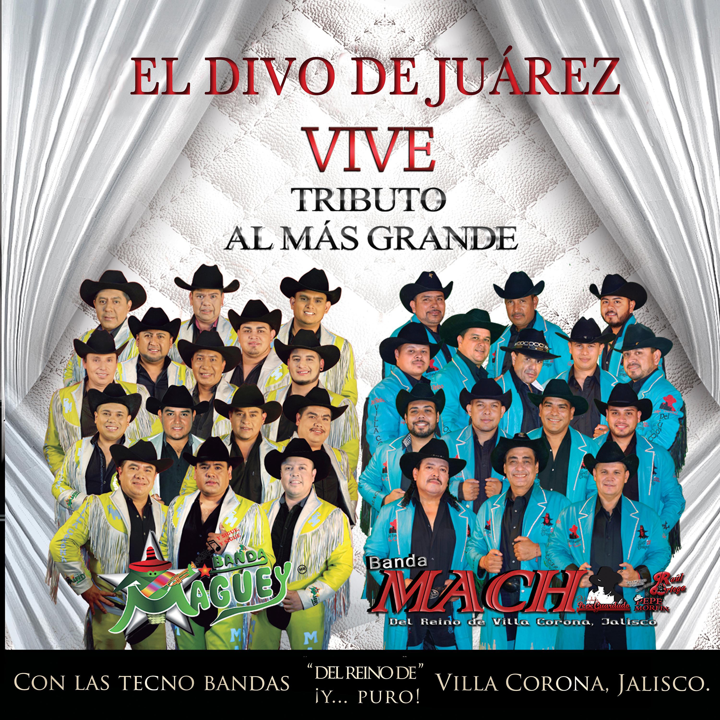 Постер альбома El divo de Juárez vive: Tributo al Más Grande