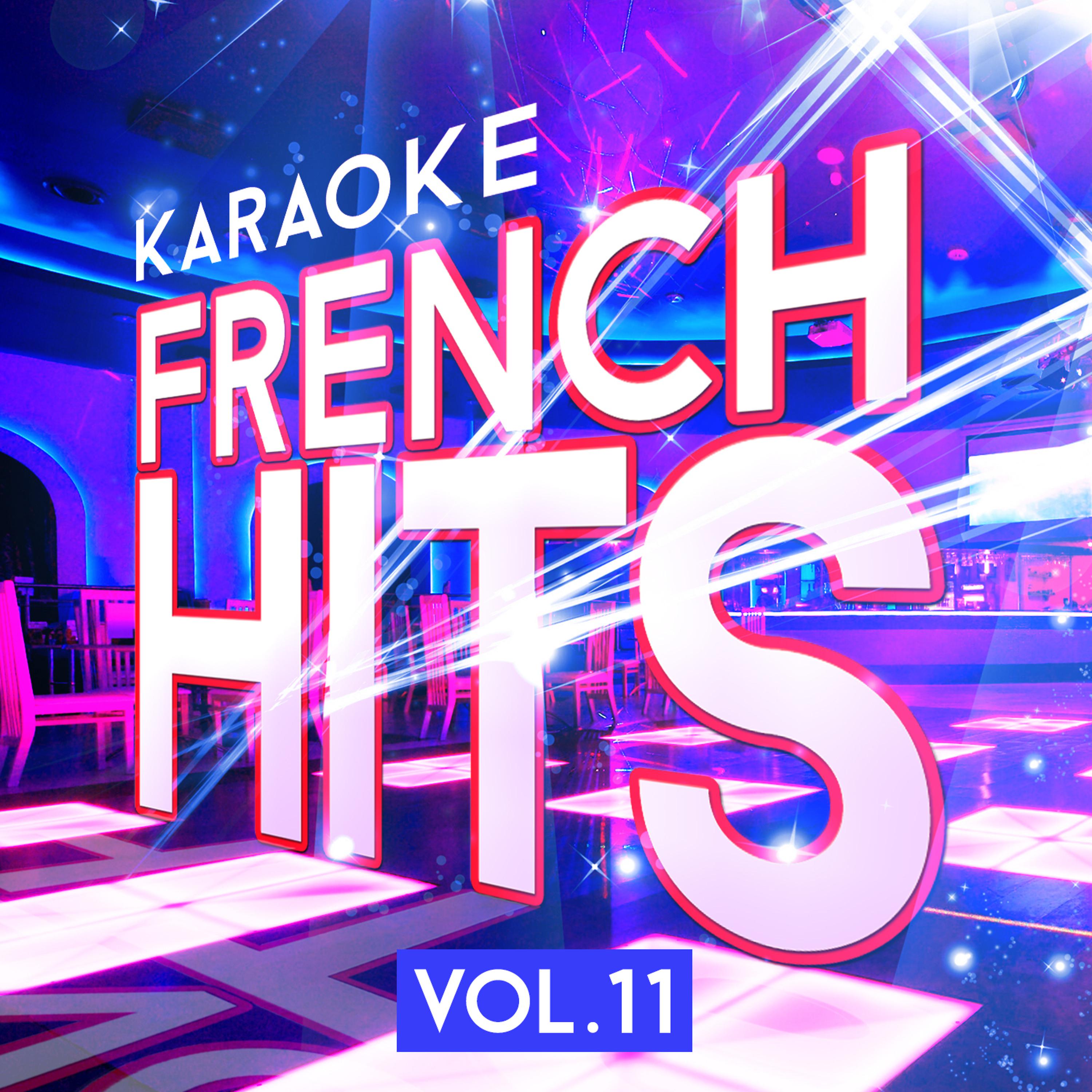 Постер альбома Karaoke - French Hits, Vol 11